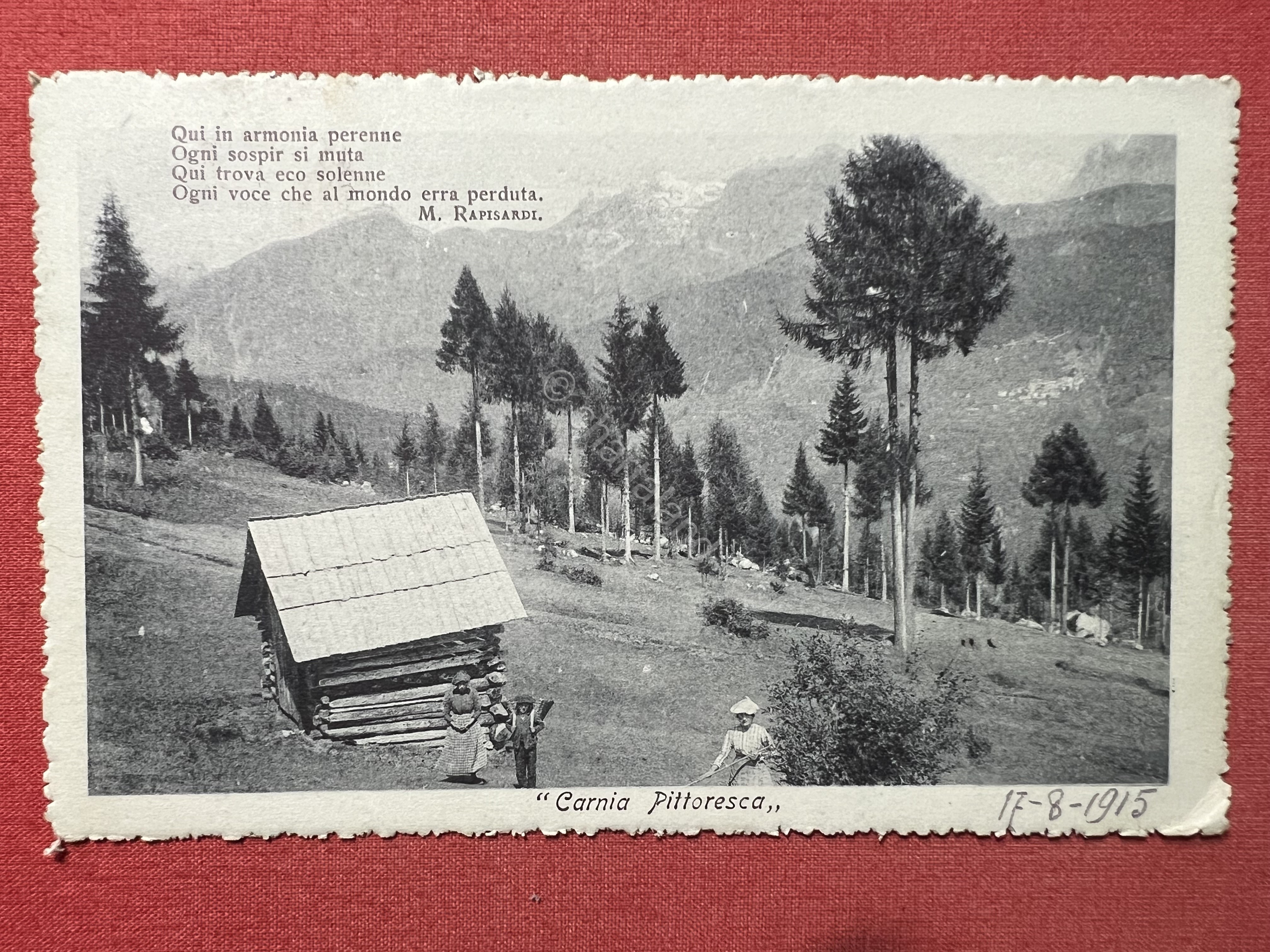 Cartolina - Carnia Pittoresca ( Udine ) - Panorama - …