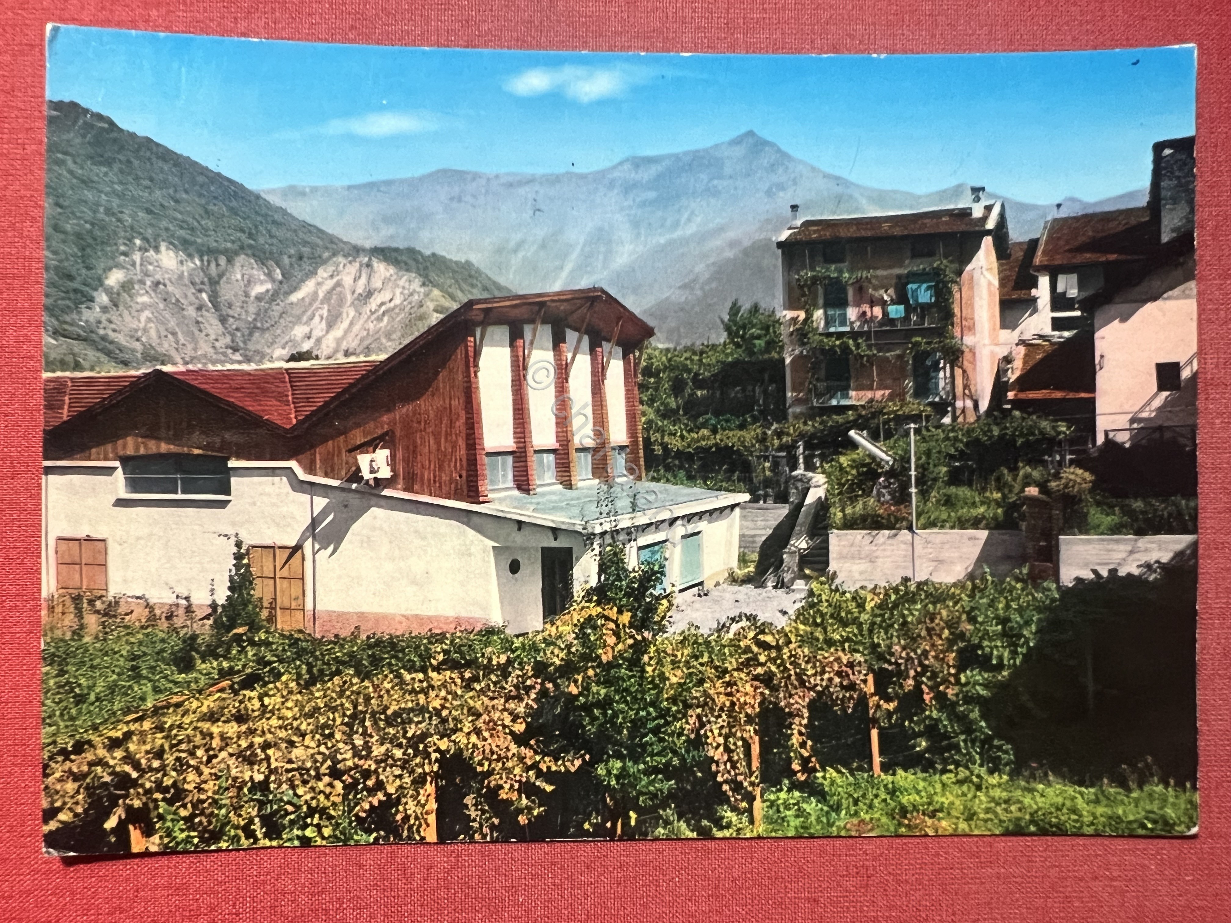 Cartolina - Chiomonte ( Torino ) - Visione Panoramica con …