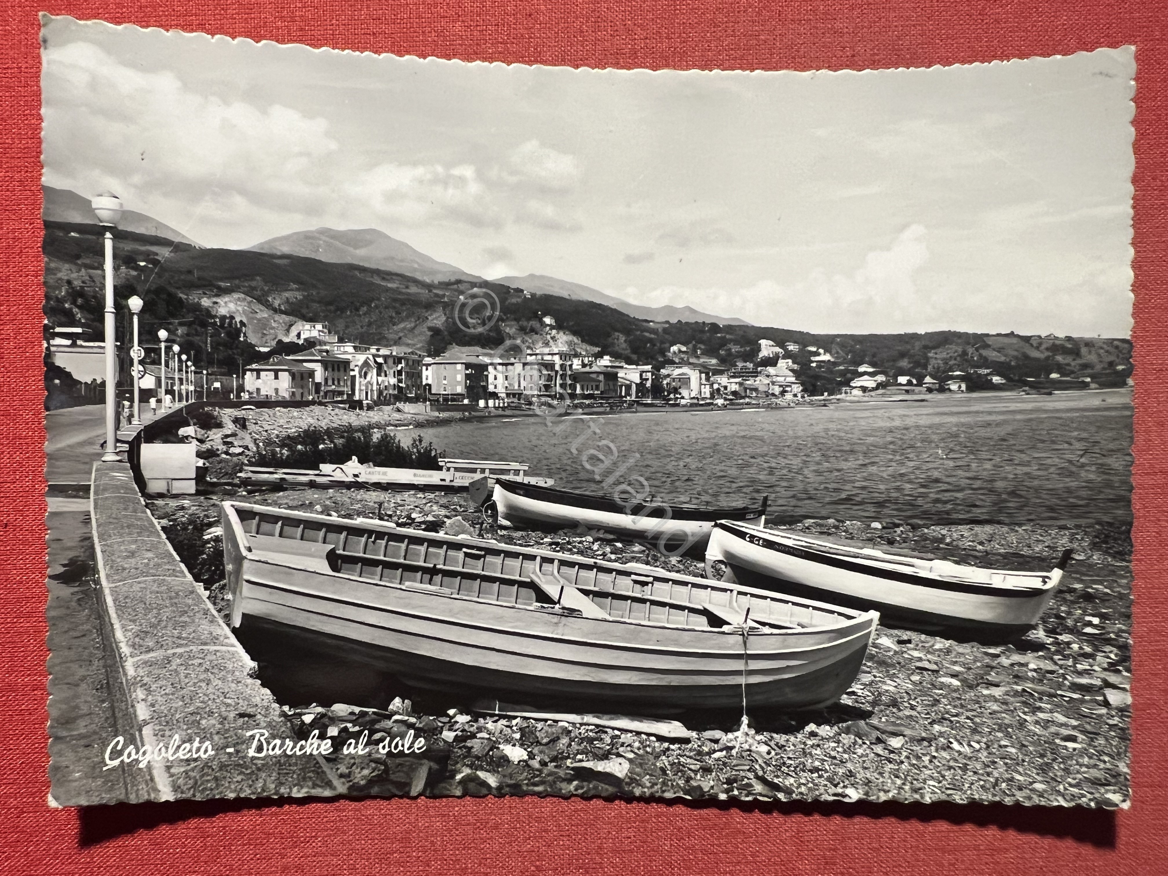 Cartolina - Cogoleto - Barche al Sole - 1953