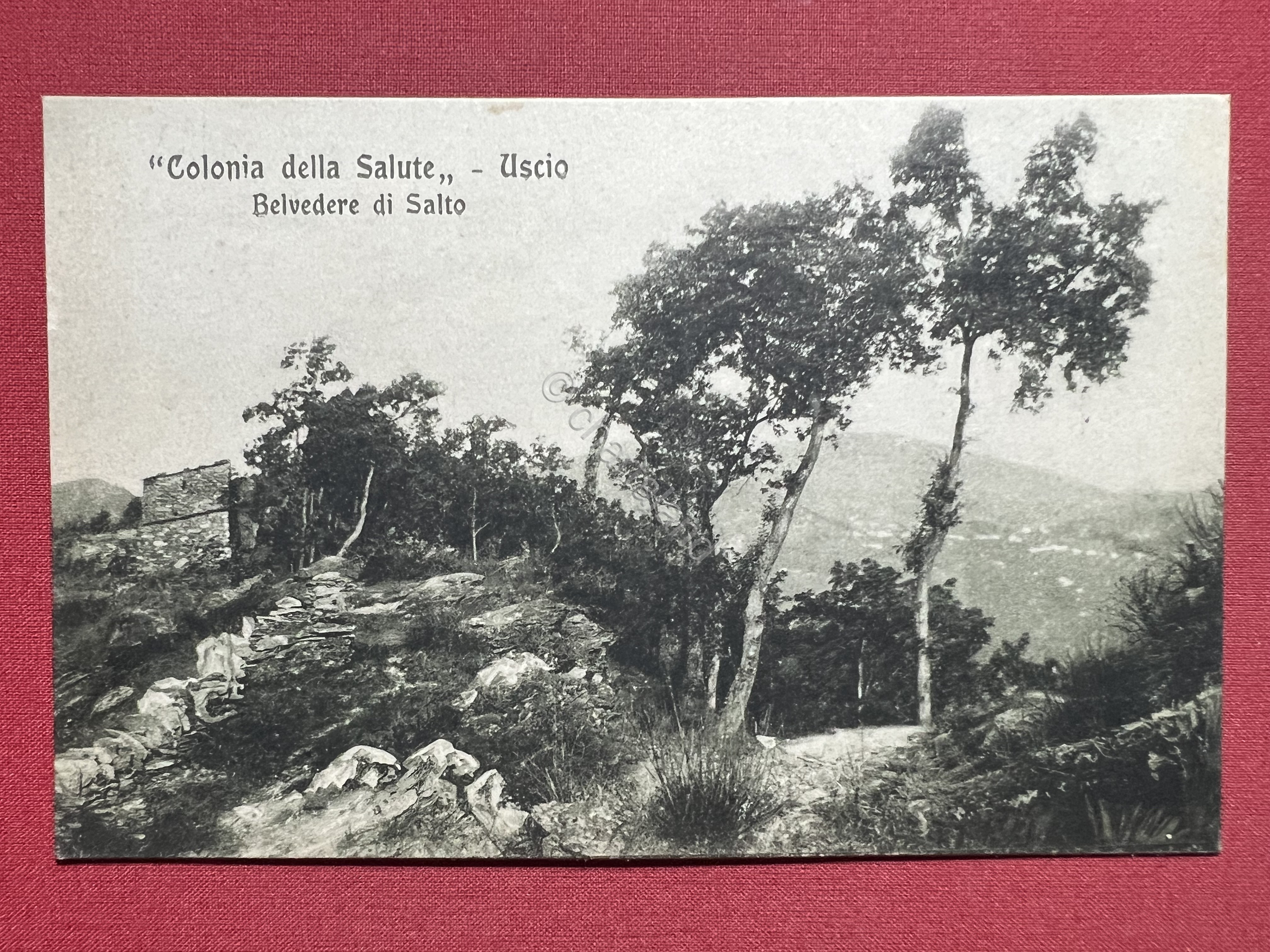 Cartolina - Colonia della Salute - Uscio - Belvedere di …