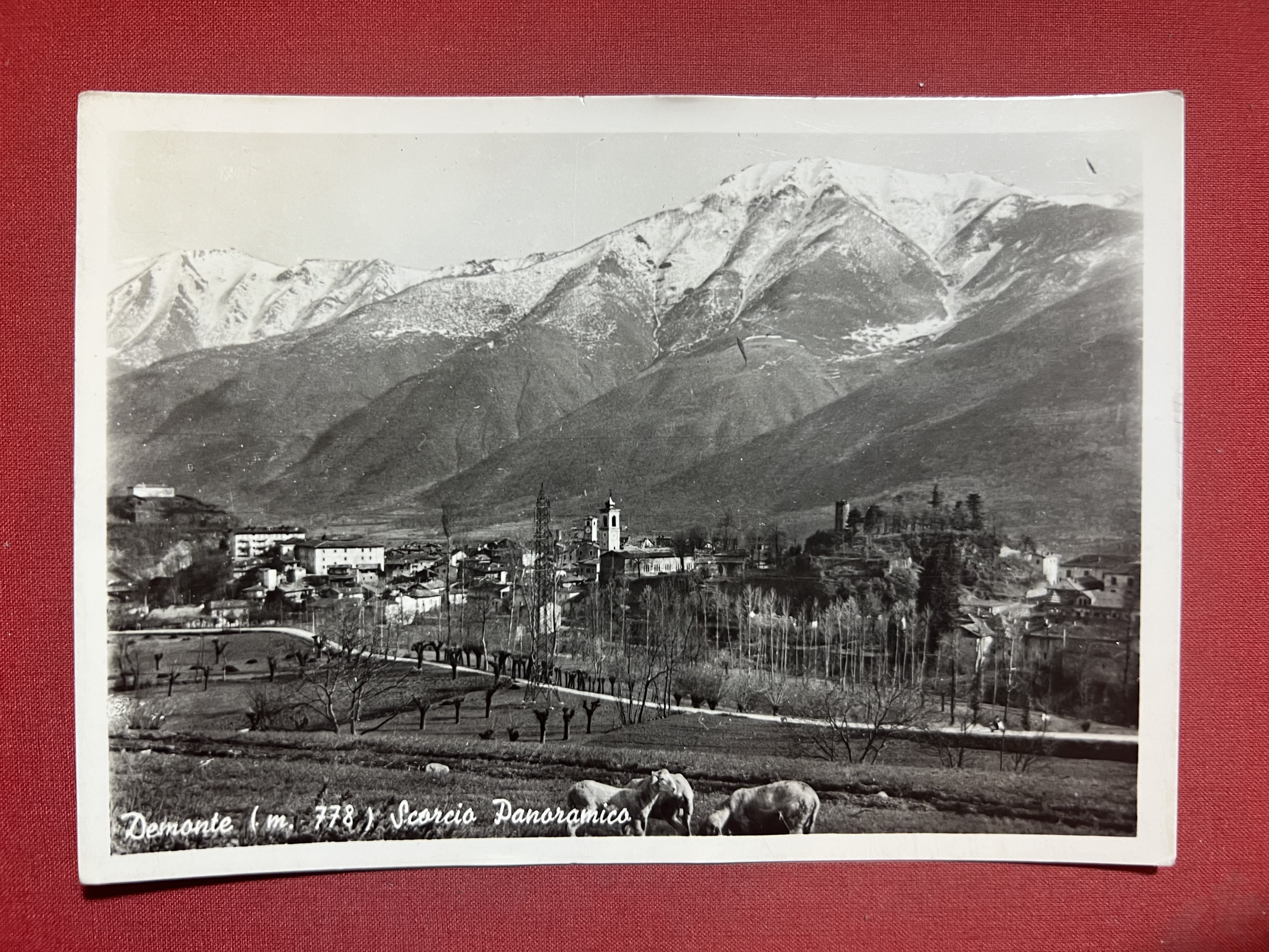 Cartolina - Demonte ( Cuneo ) - Scorcio panoramico - …