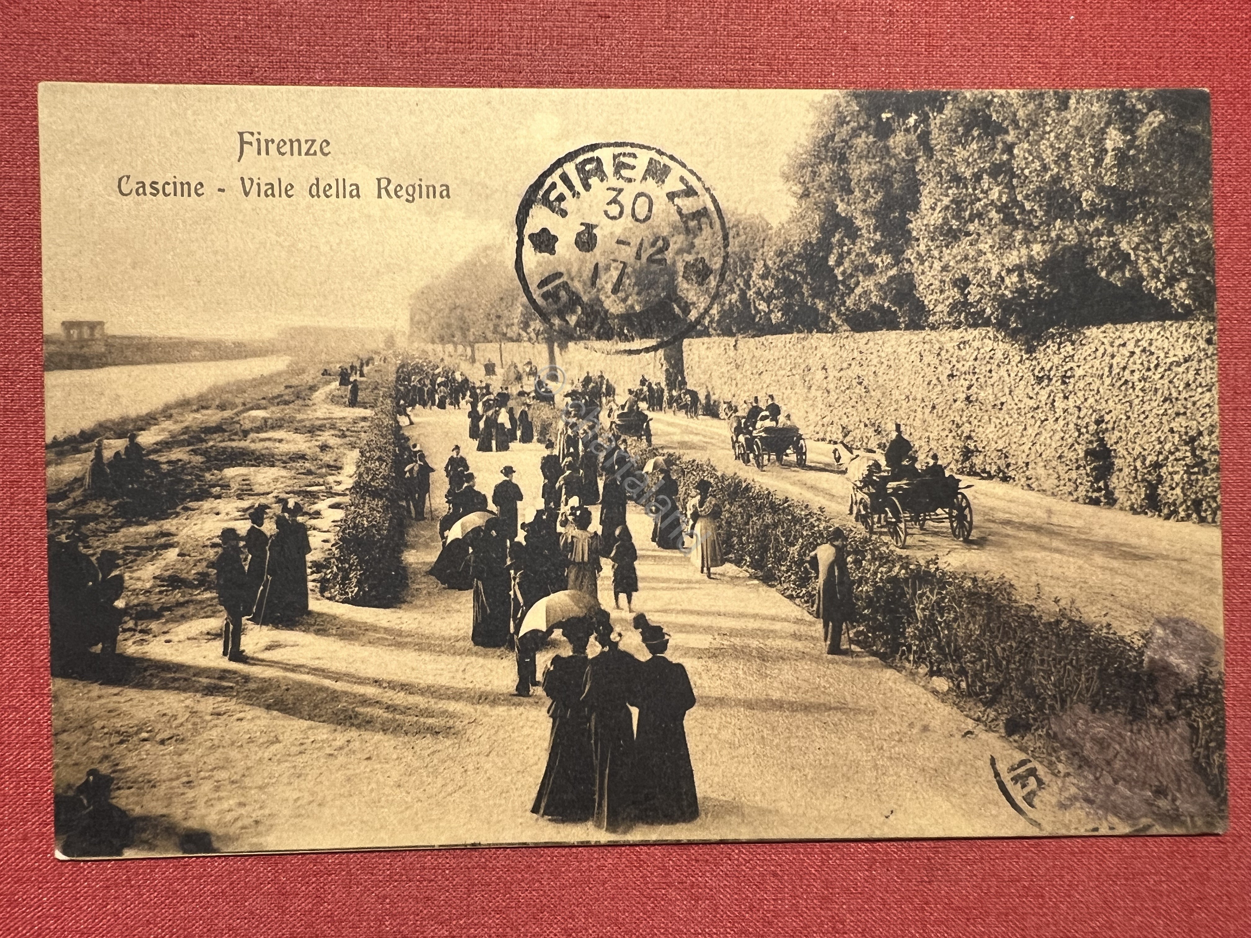 Cartolina - Firenze - Cascine - Viale della Regina - …