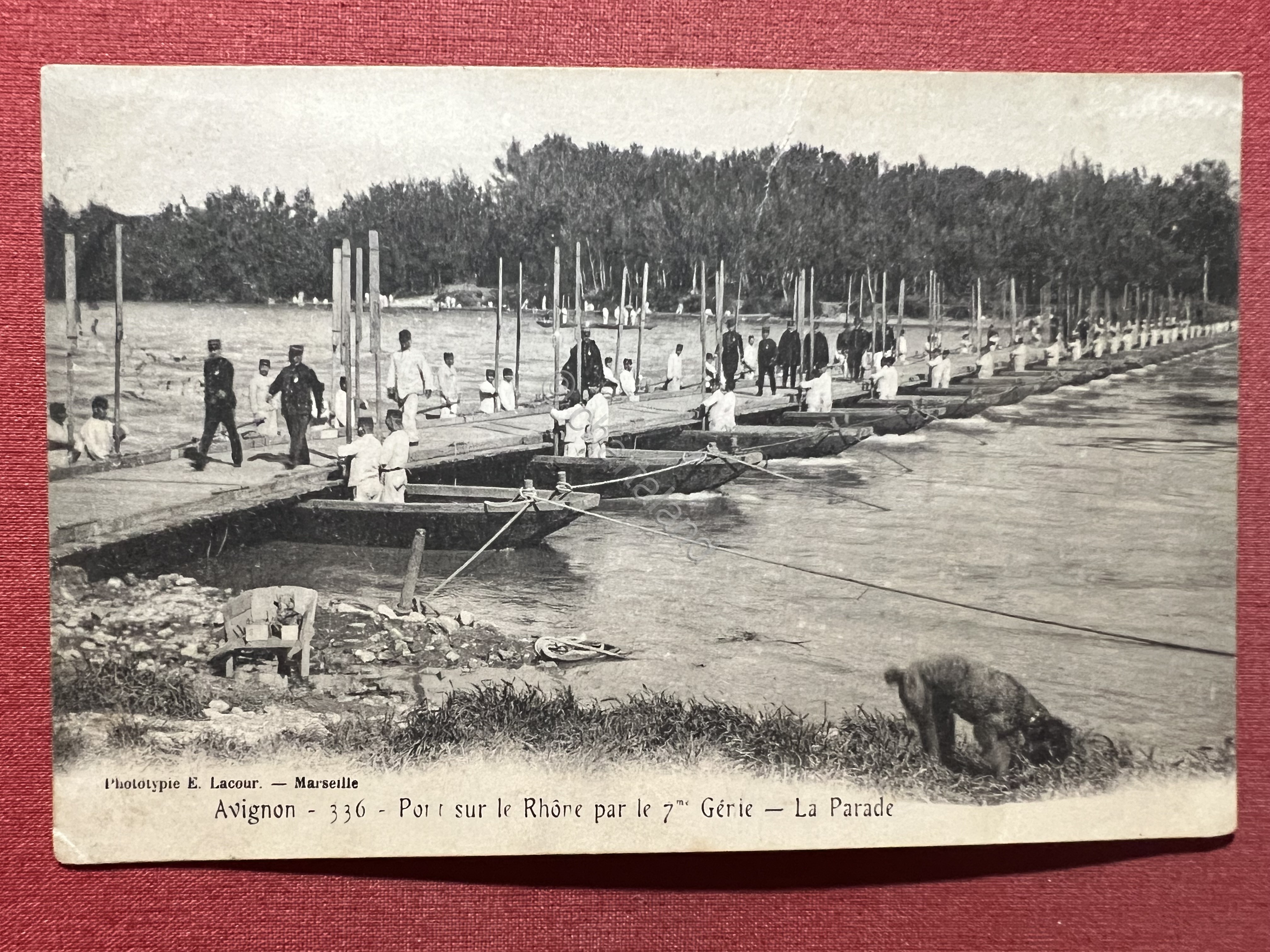 Cartolina - Francia - Avignon - Pont sur le Rhone …
