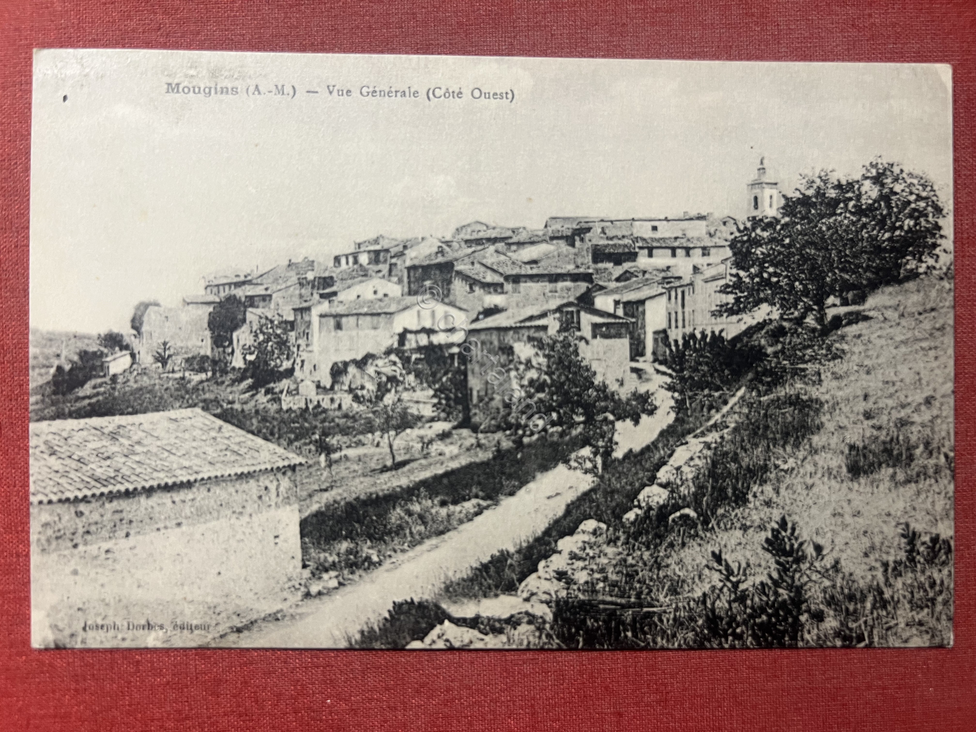 Cartolina - Francia - Mougins - Vue Générale ( Coté …