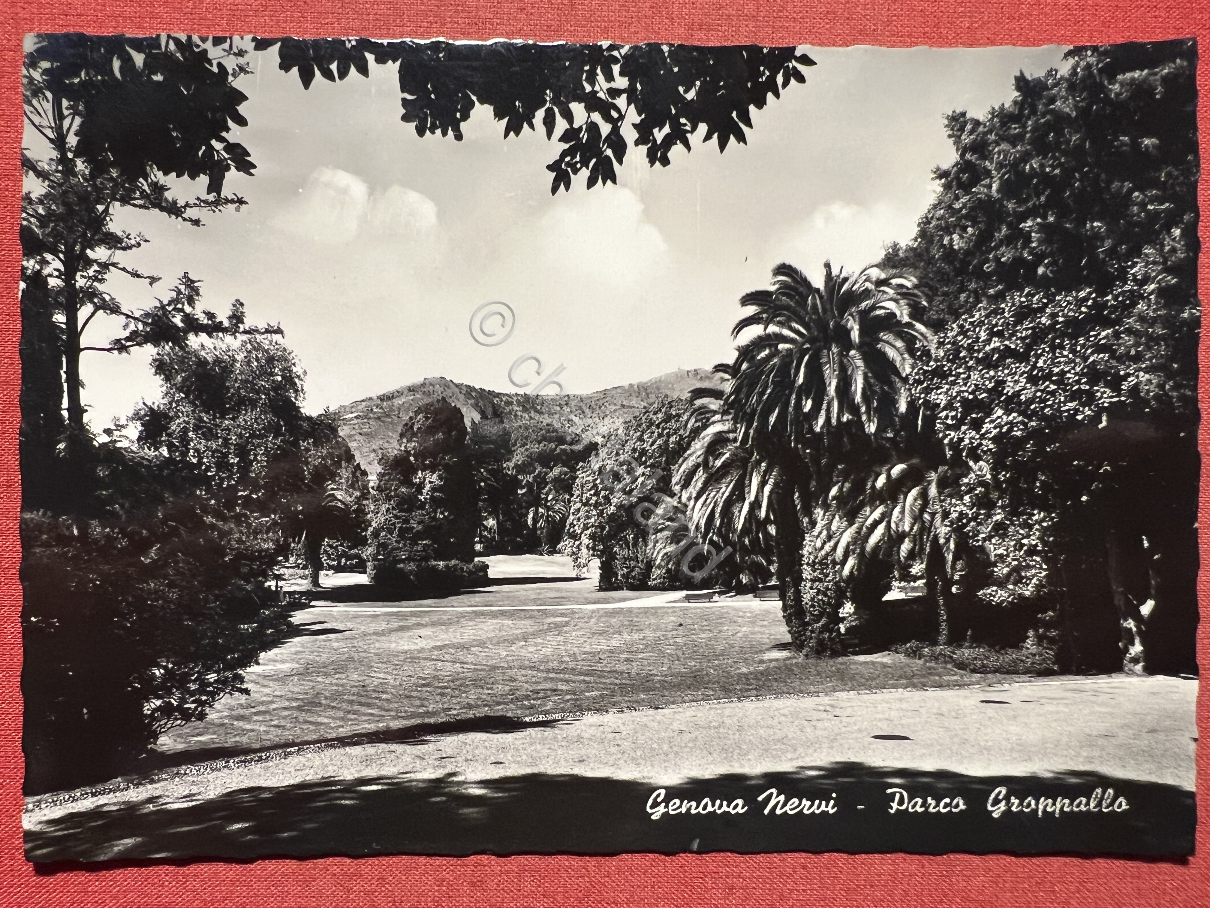Cartolina - Genova Nervi - Parco Groppallo - 1955 ca.