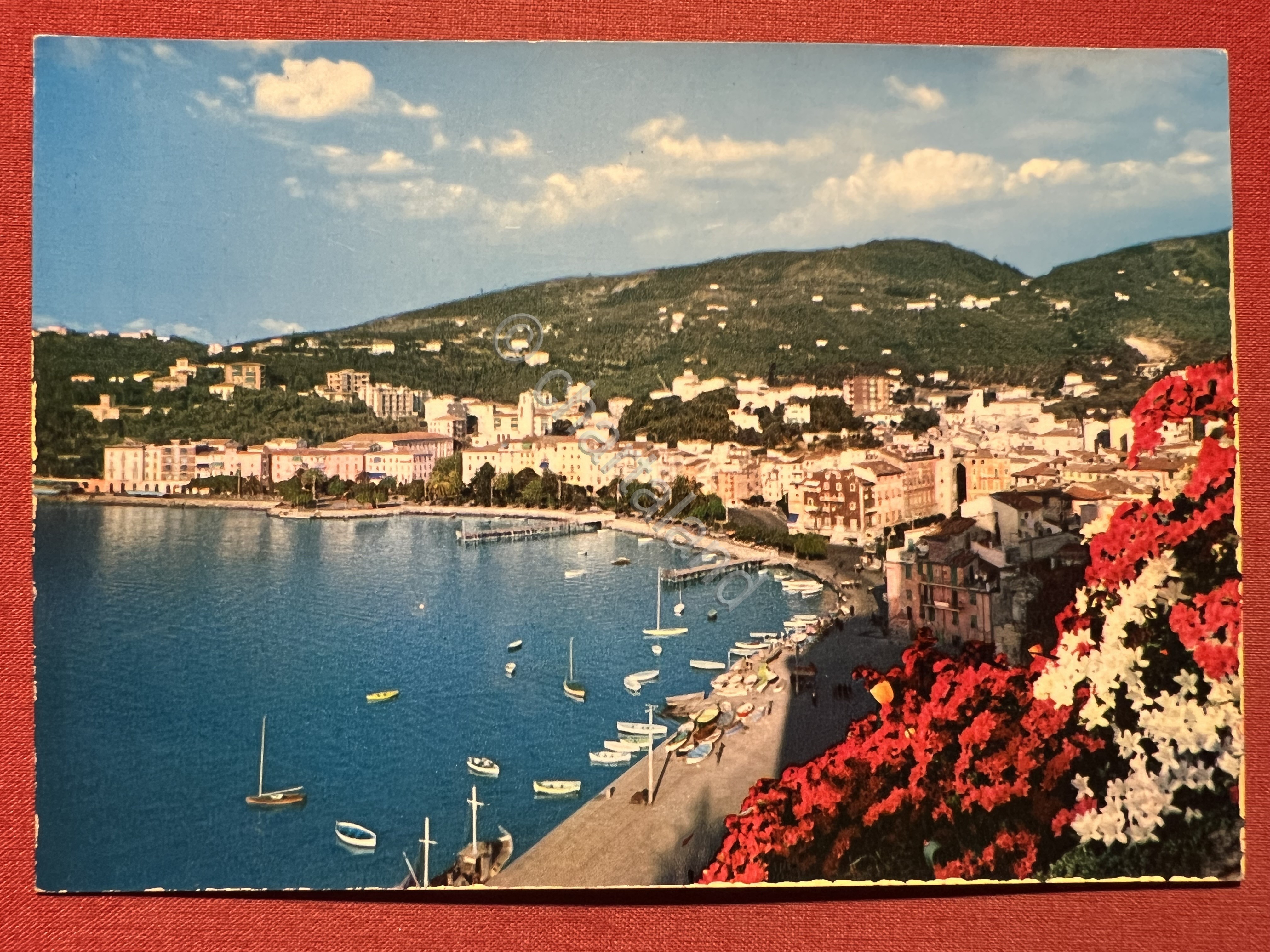 Cartolina - Golfo di La Spezia - Lerici - Panorama …