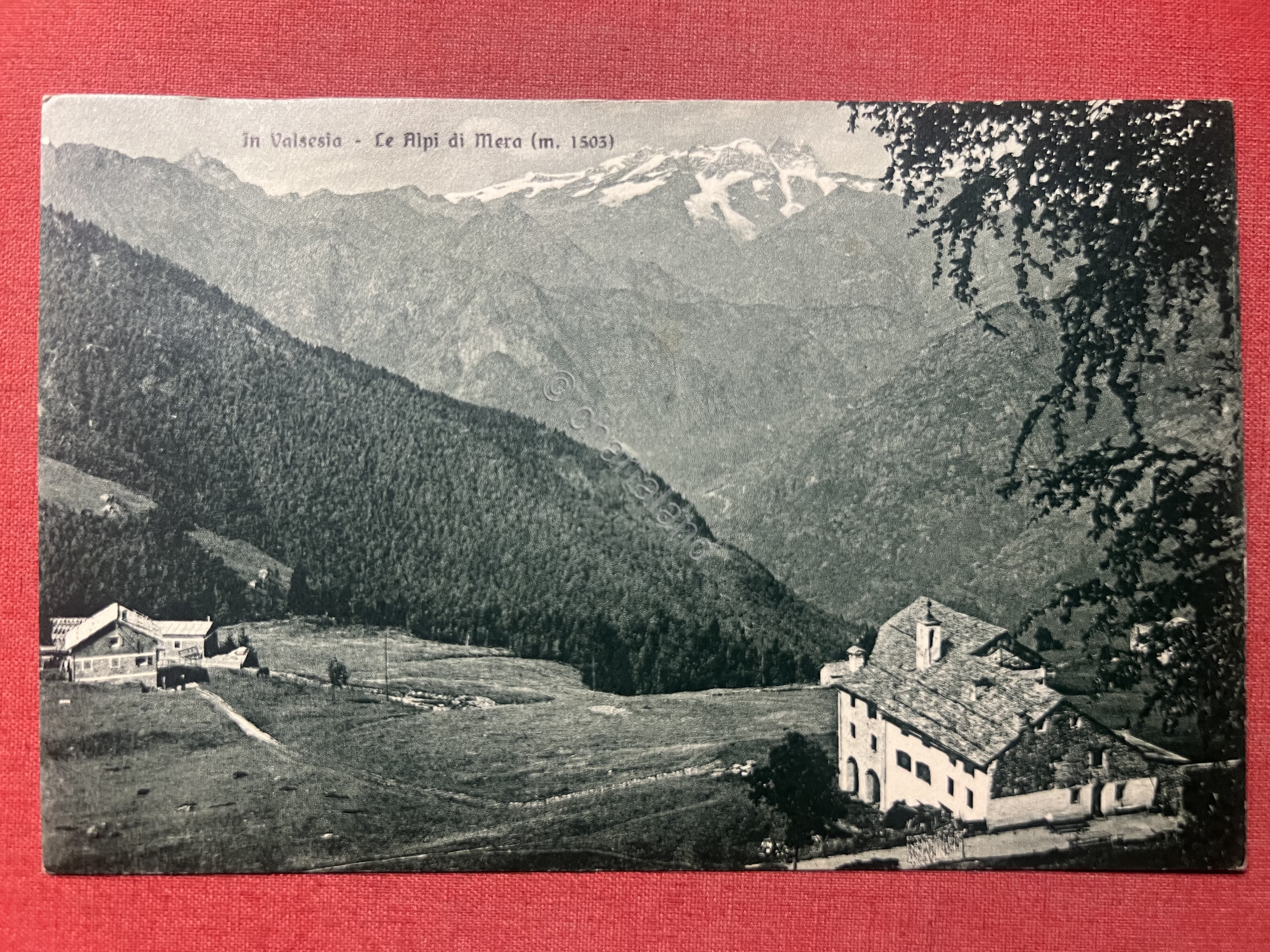 Cartolina - In Valsesia - Le Alpi di Mera - …