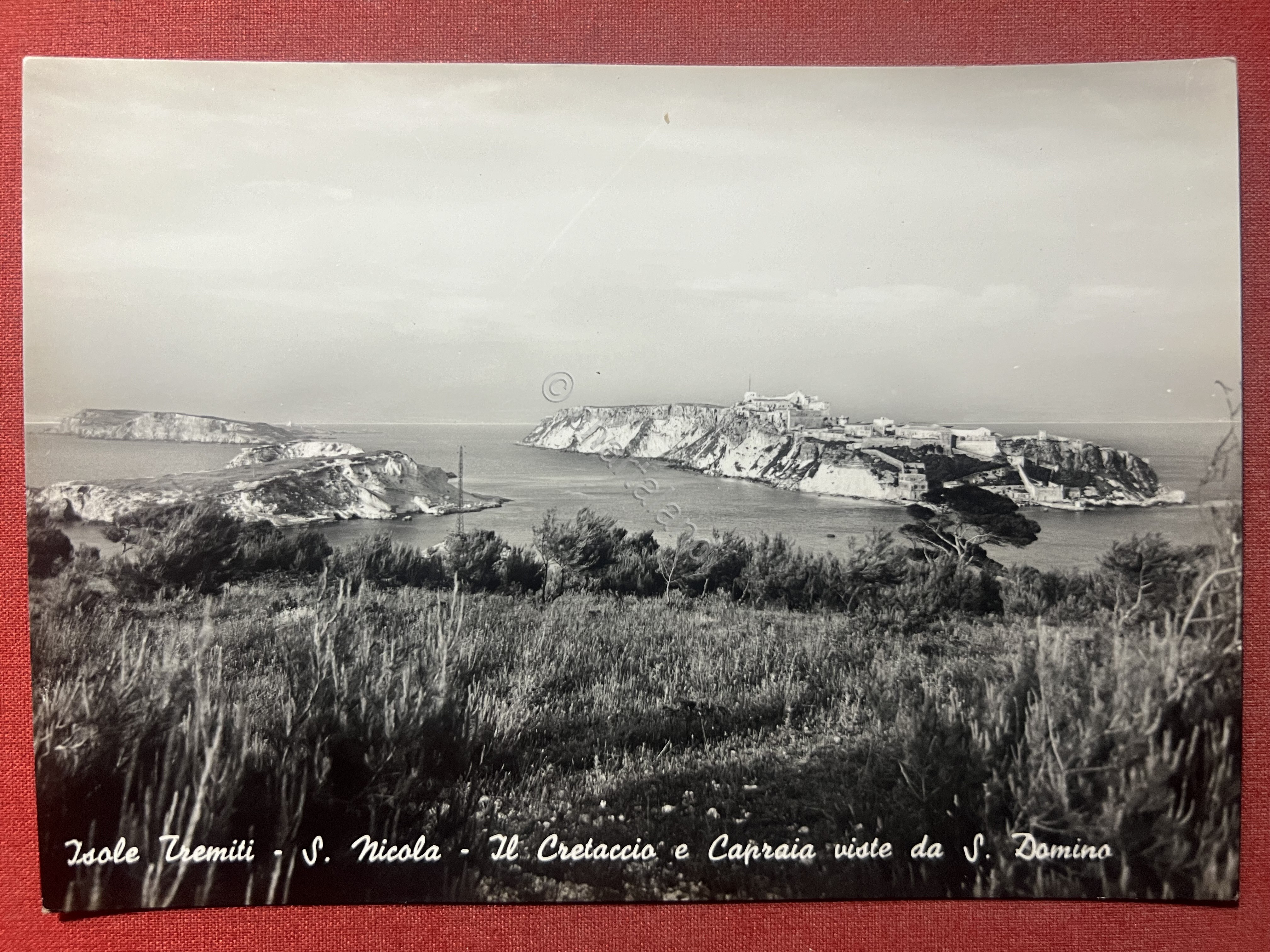 Cartolina - Isole Tremiti - S. Nicola - Il Cretaccio …