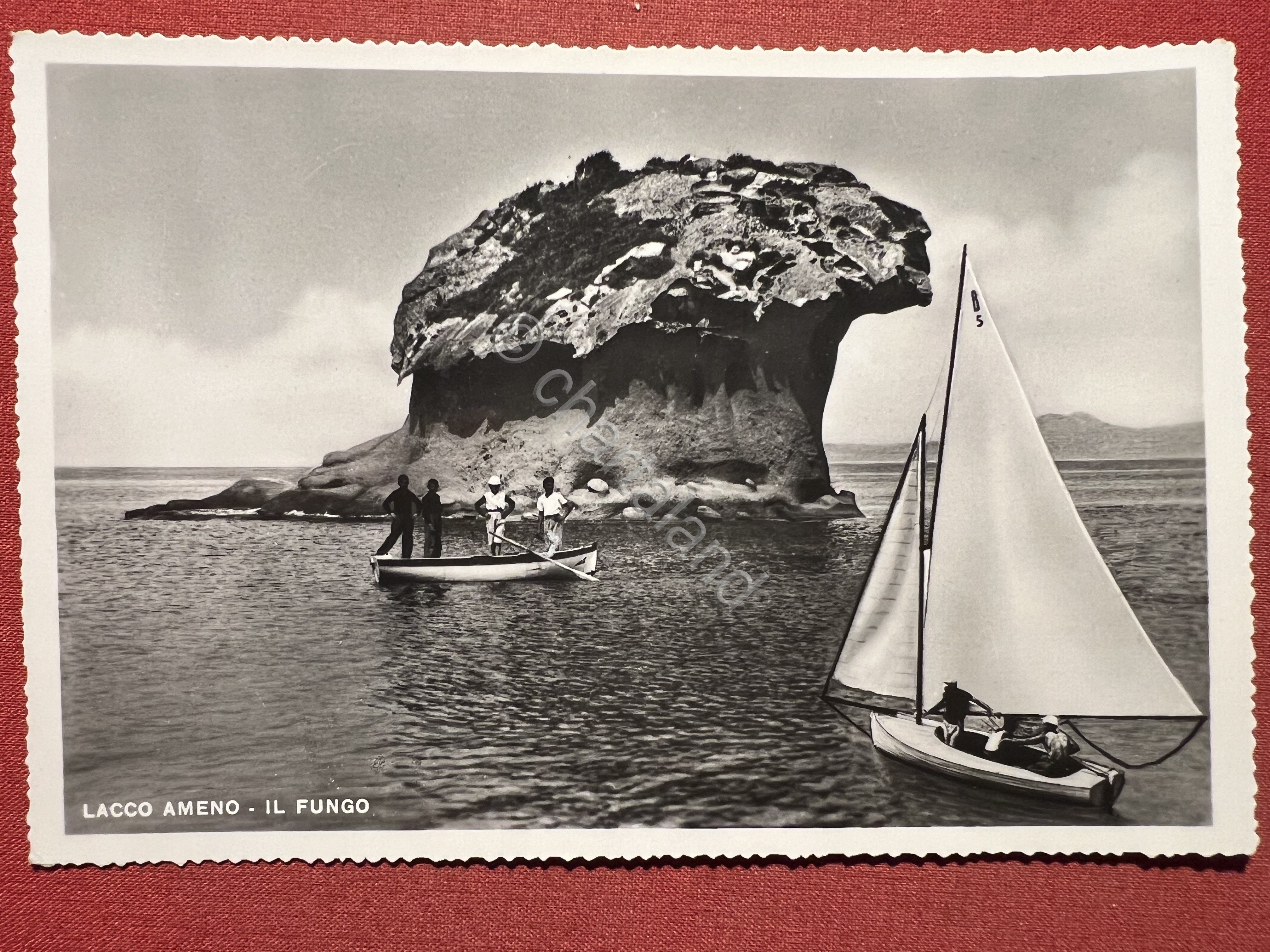 Cartolina - Lacco Ameno ( Napoli ) - Il Fungo …