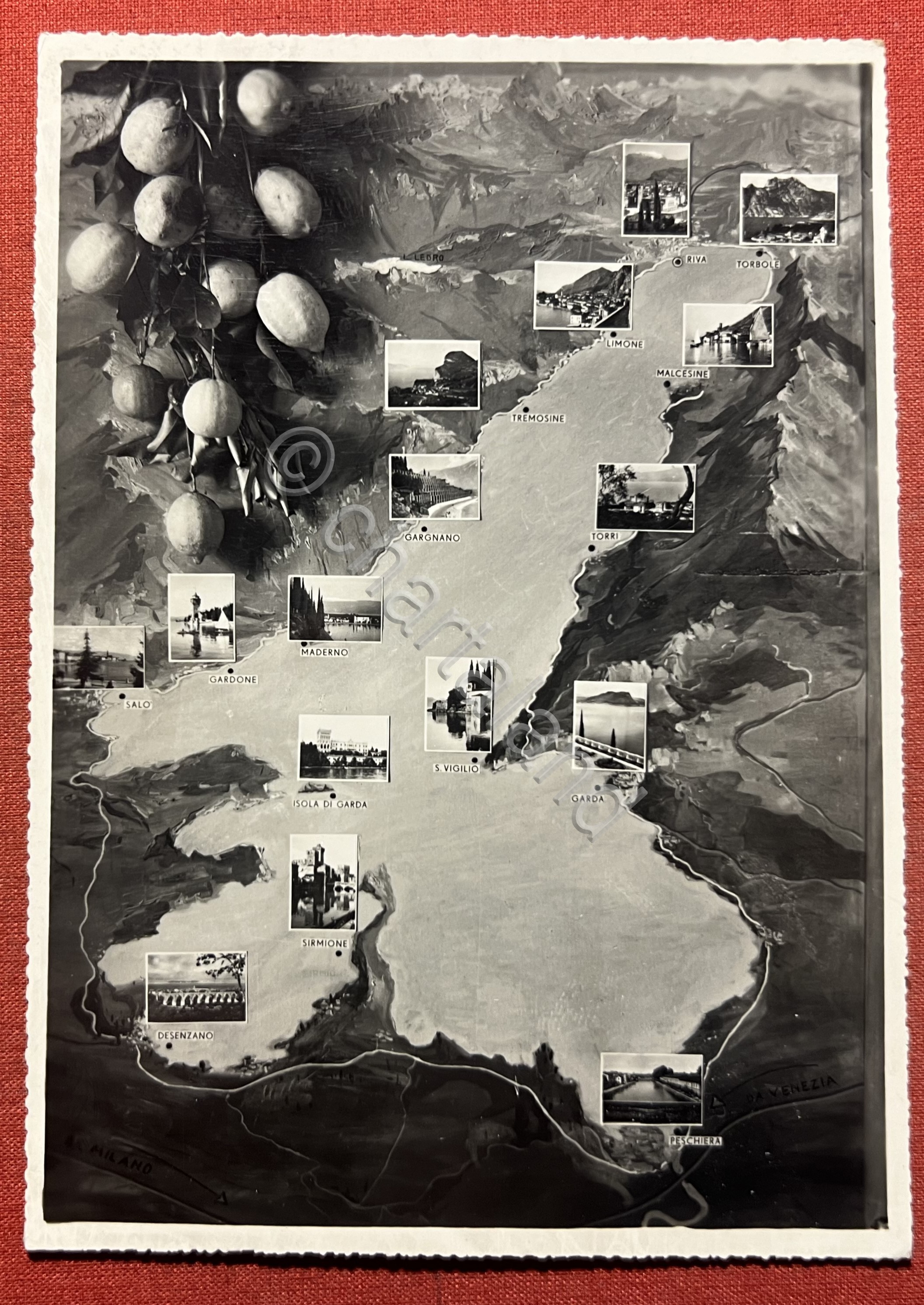 Cartolina - Lago di Garda - Vedute diverse - 1950 …