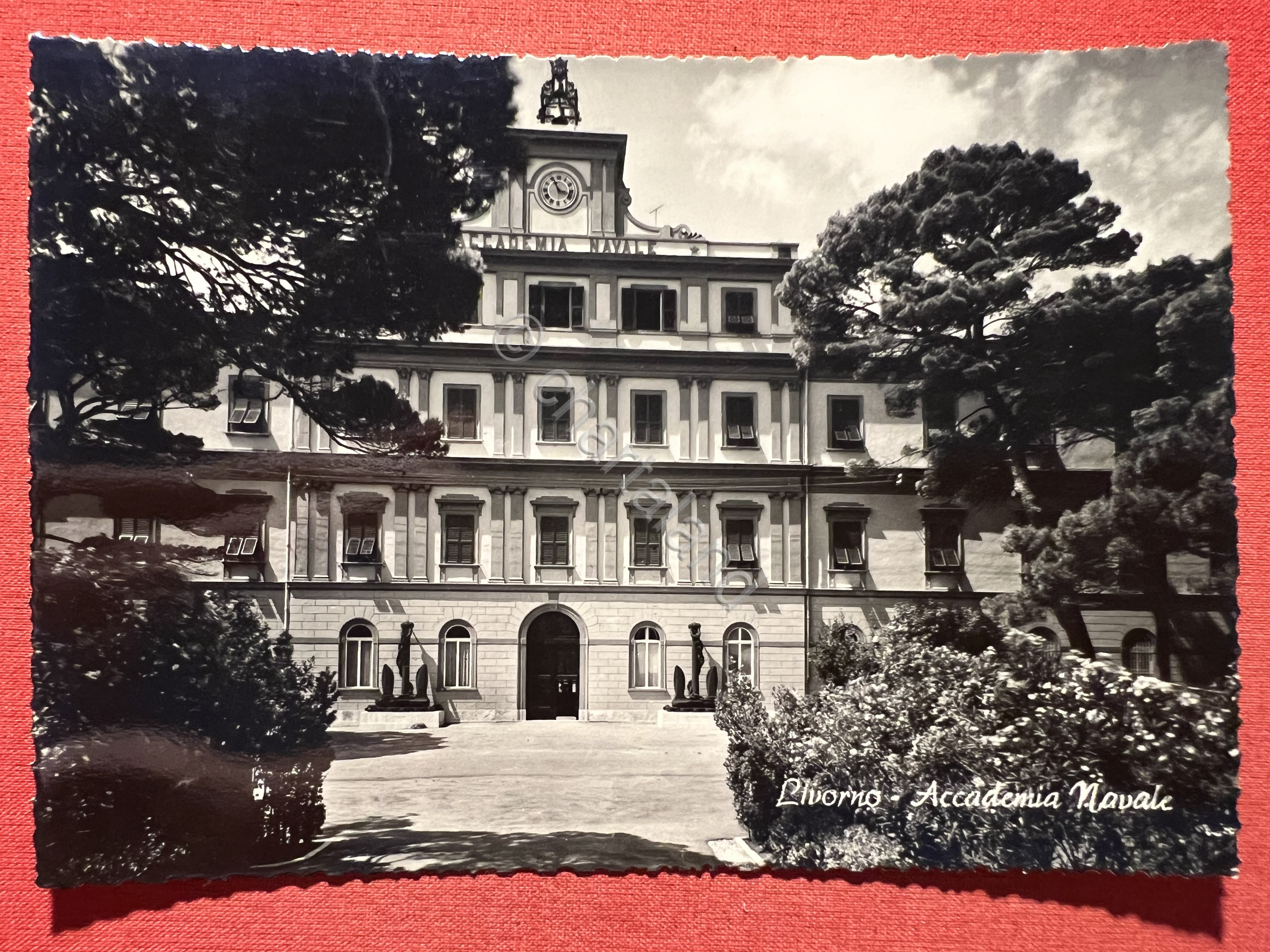Cartolina - Livorno - Accademia Navale 1962