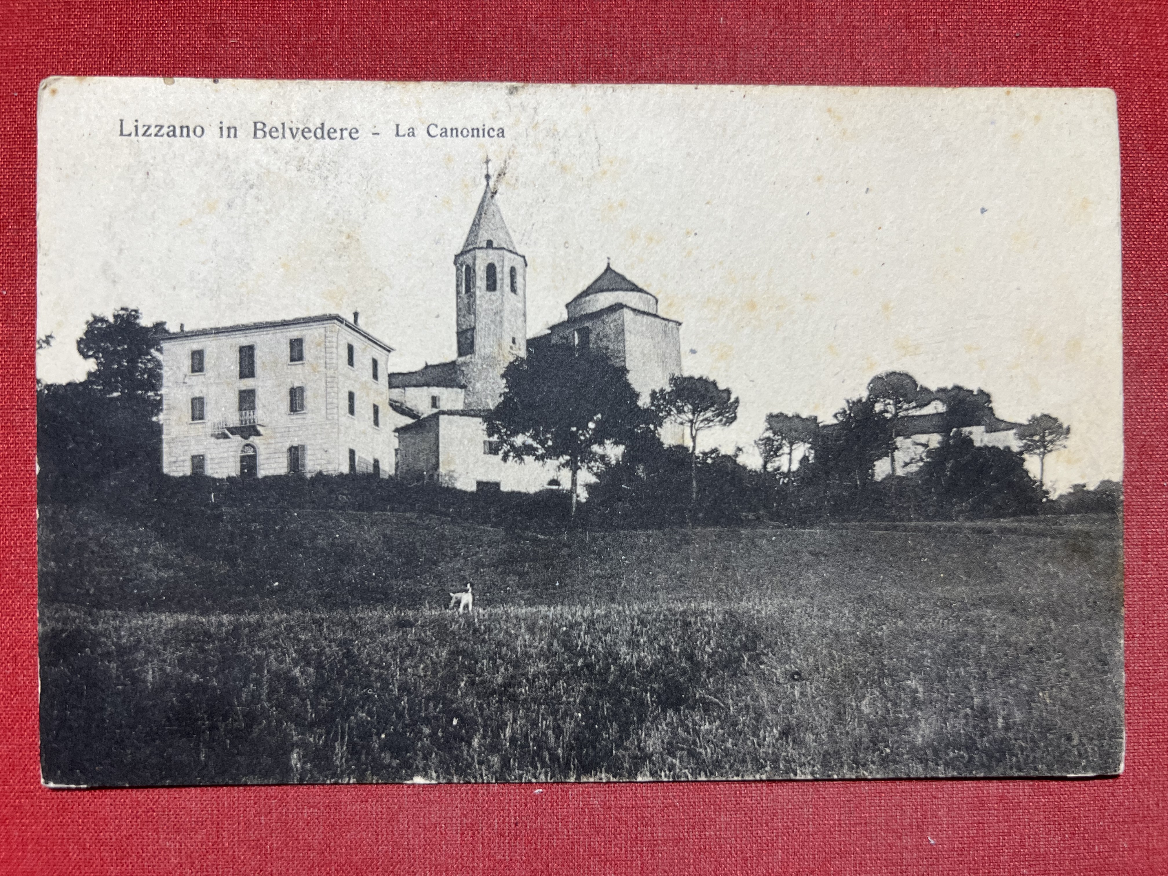 Cartolina - Lizzano in Belvedere ( Bologna ) - La …