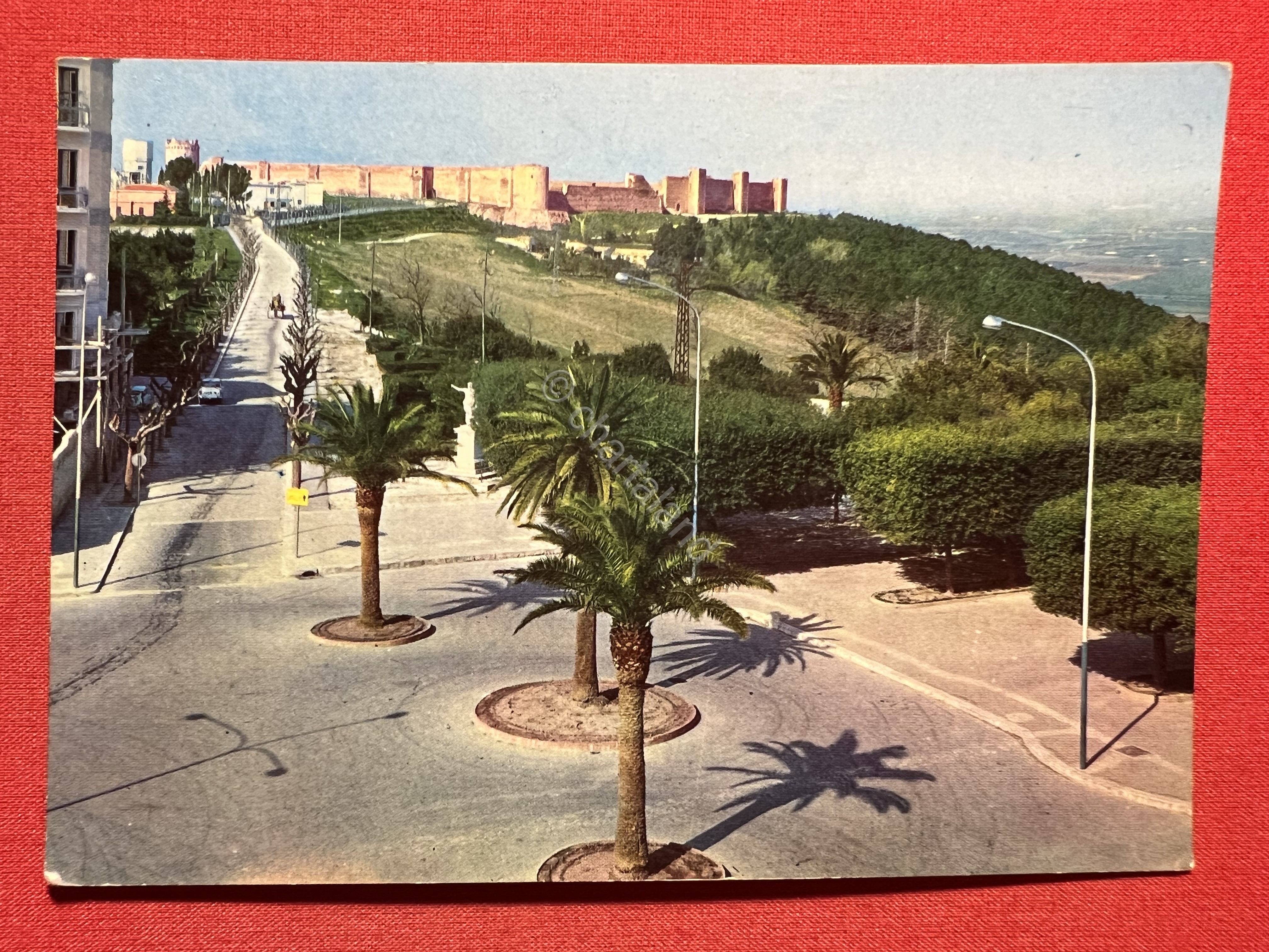 Cartolina - Lucera ( Foggia ) - Panoramica Castello e …