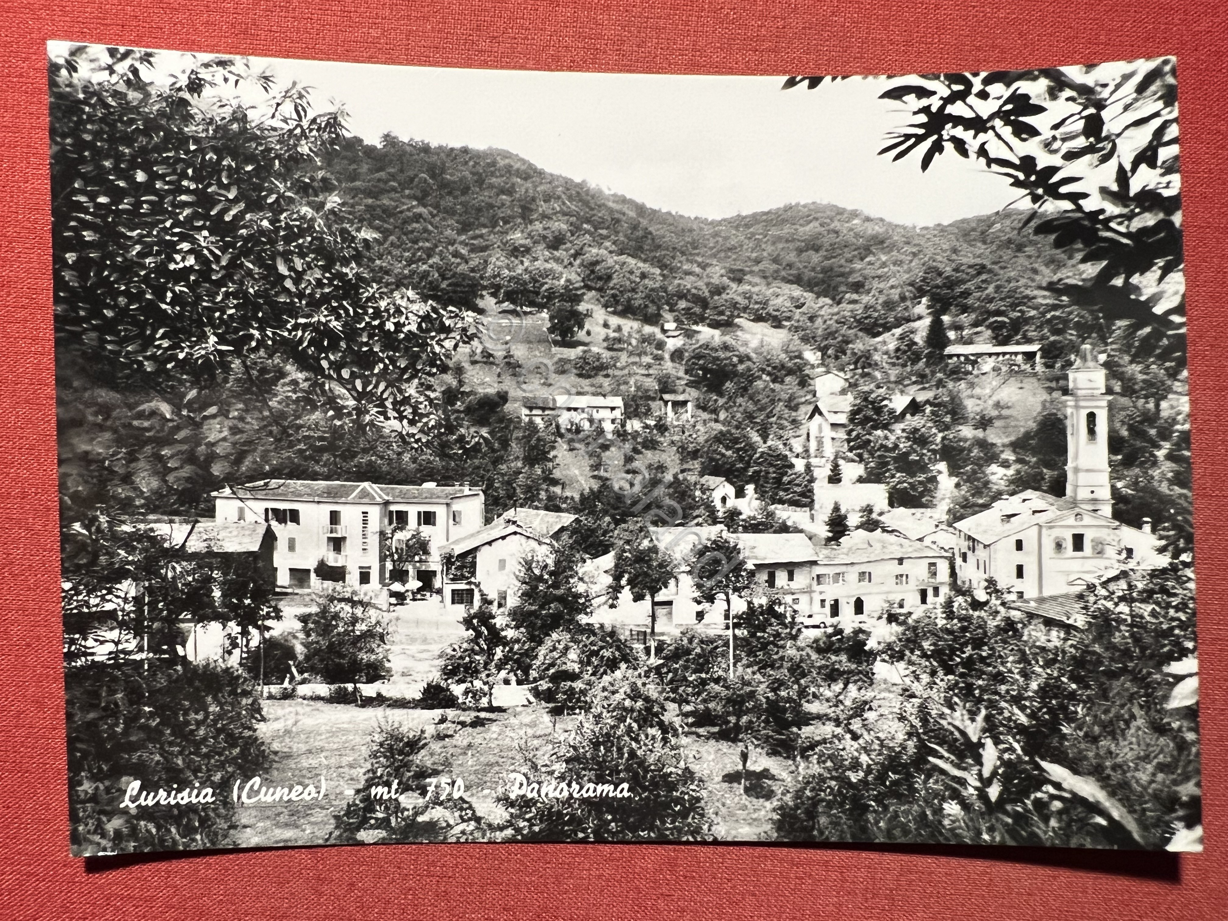 Cartolina - Lurisia ( Cuneo ) - Panorama - 1960 …