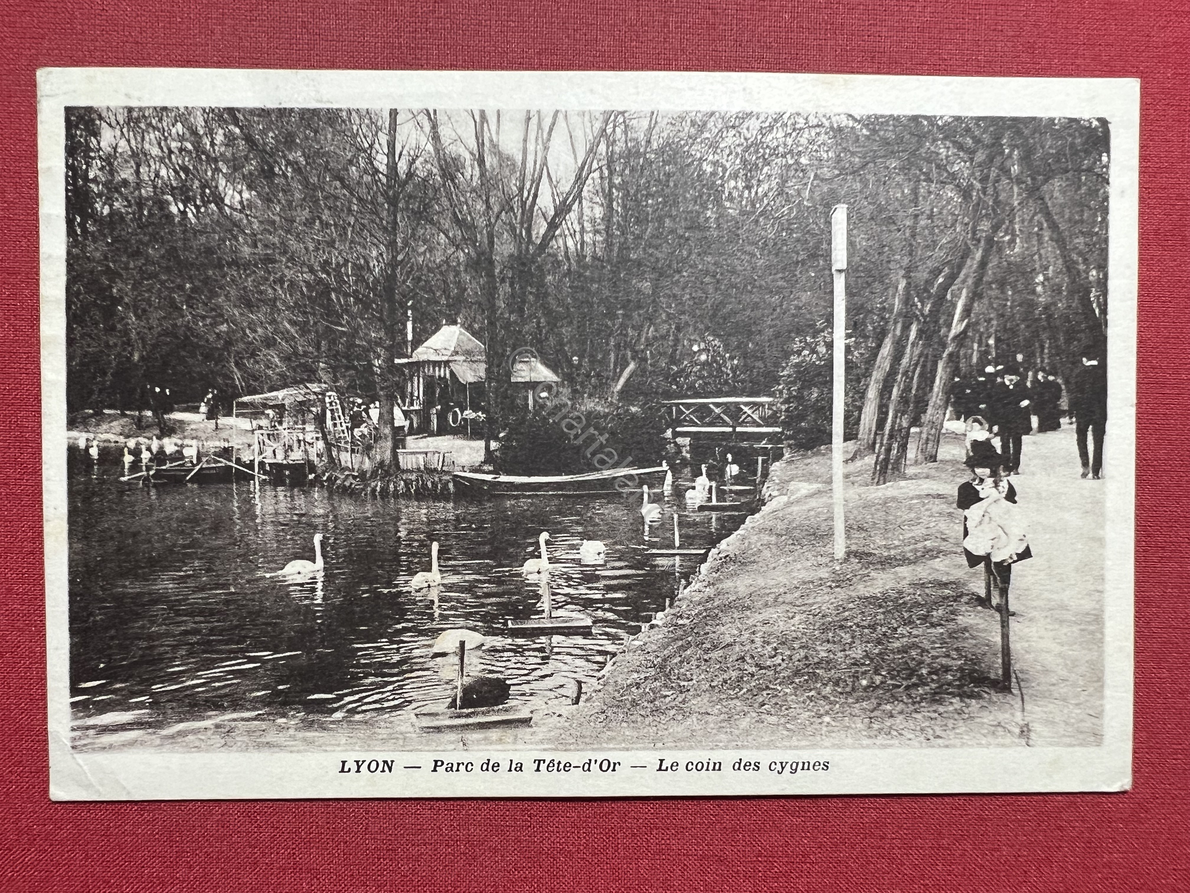 Cartolina - Lyon - Parc de la Tete-d'Or - Le …