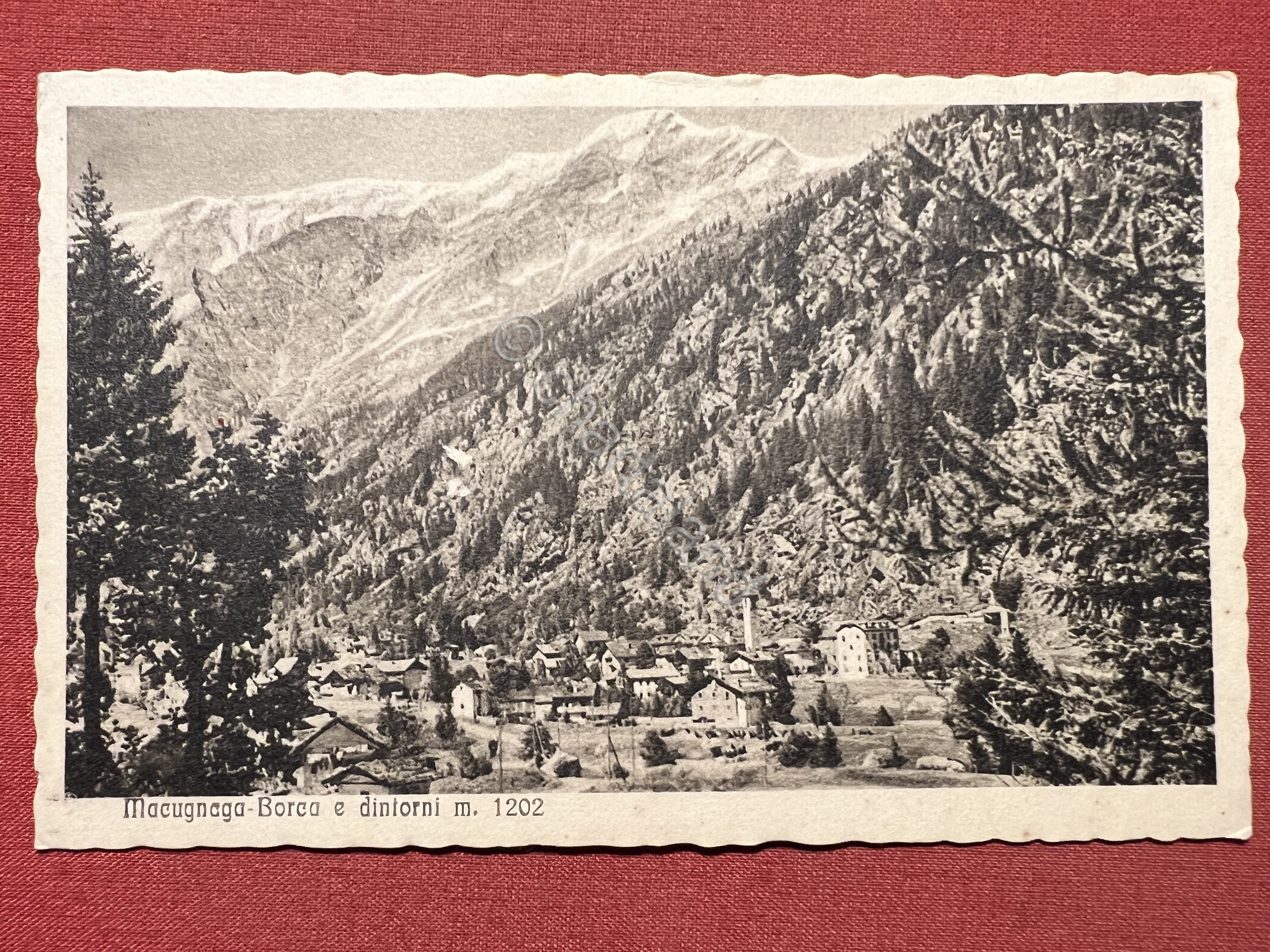 Cartolina - Macugnaga - Borca e Dintorni - 1925 ca.