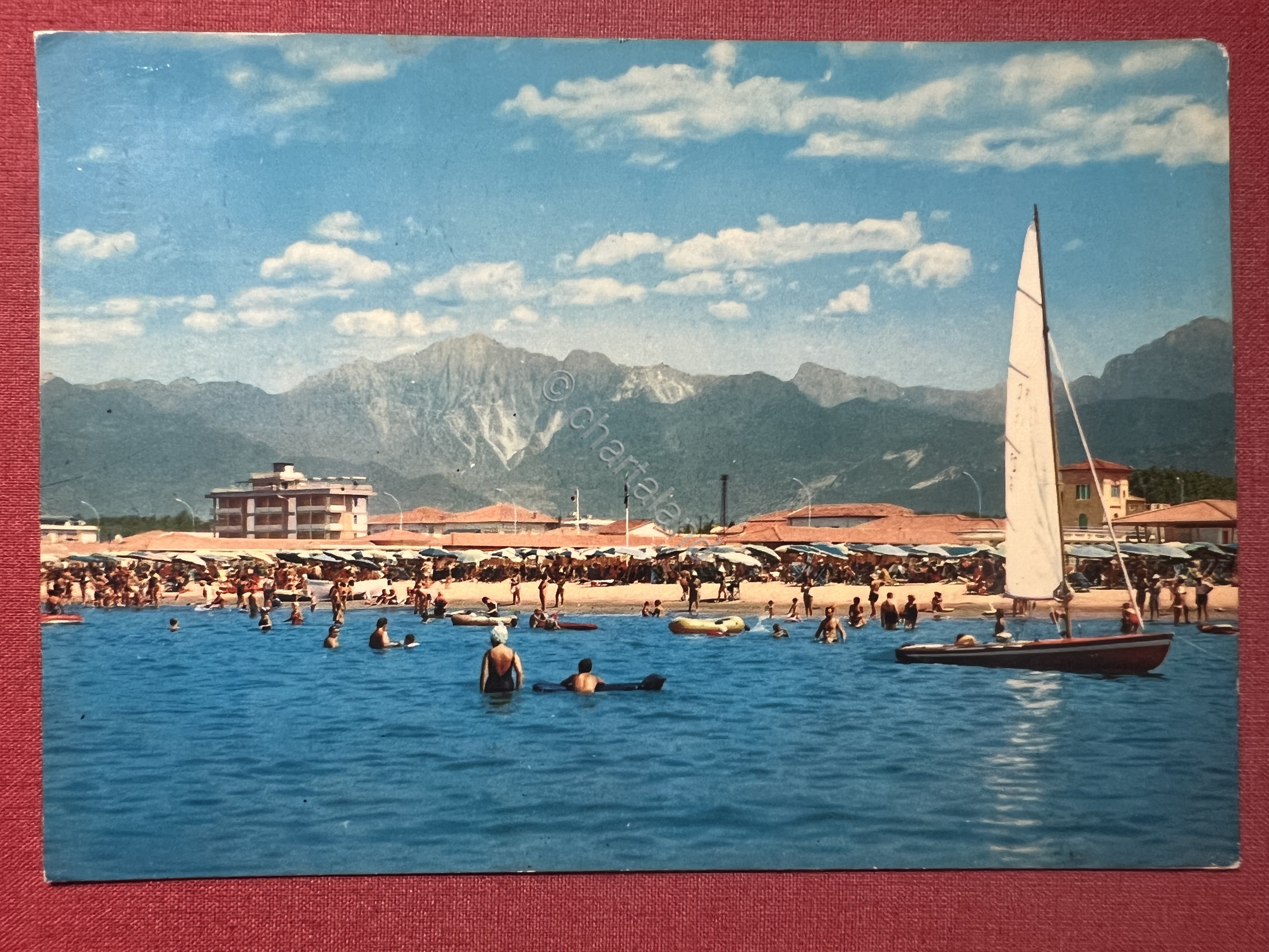 Cartolina - Marina di Pietrasanta ( Lucca ) - Spiaggia …