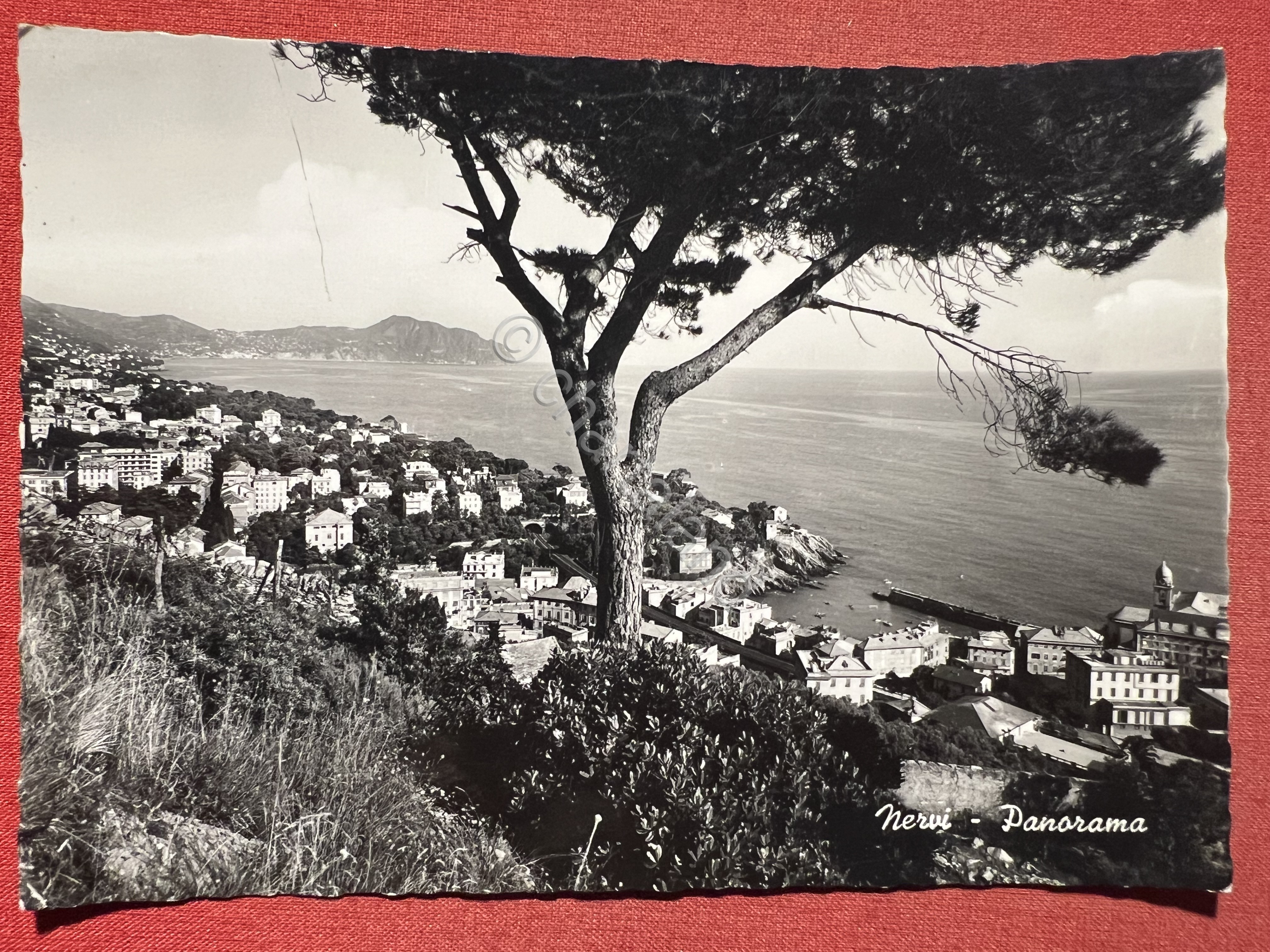 Cartolina - Nervi ( Genova ) - Panorama - 1959