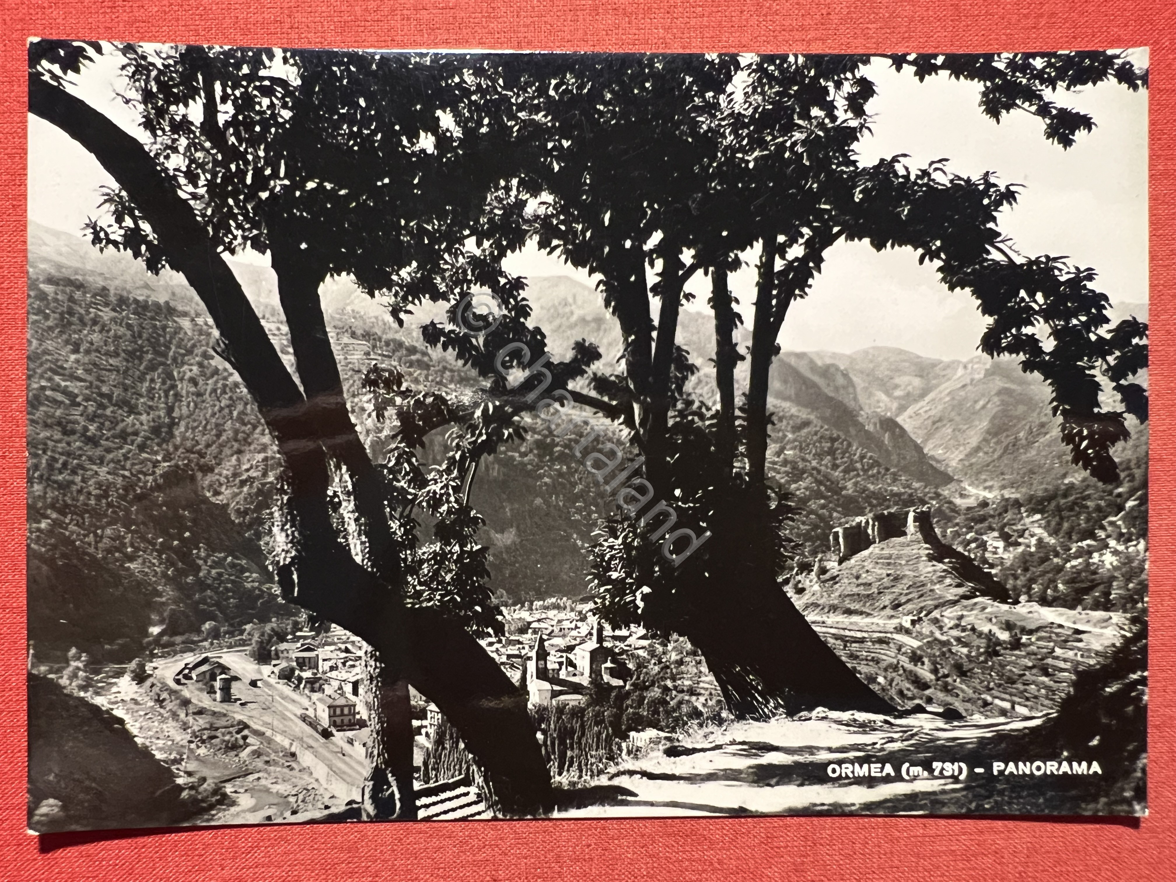 Cartolina - Ormea ( Cuneo ) - Panorama - 1954