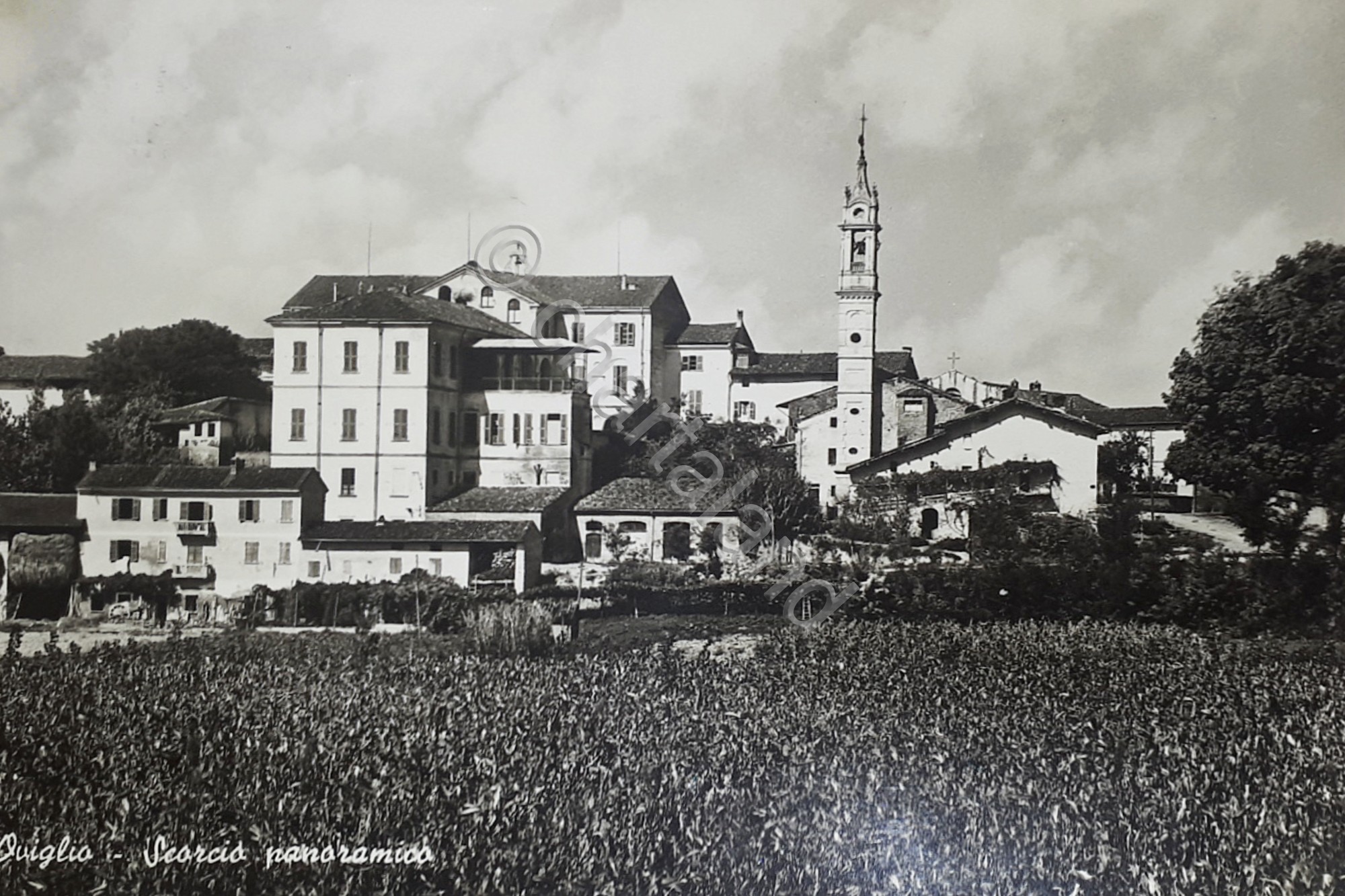 Cartolina - Oviglio - Scorcio panoramico - 1950 ca.