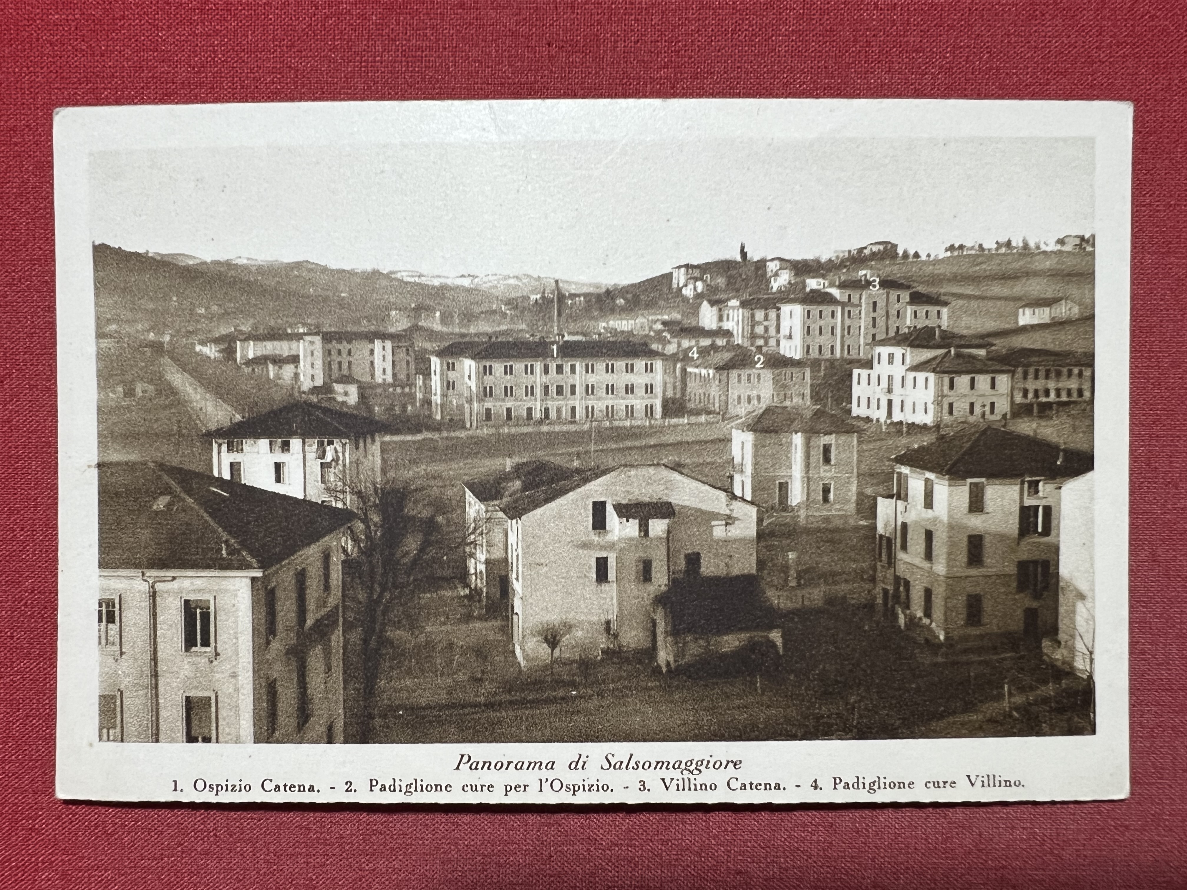 Cartolina - Panorama di Salsomaggiore - Ospizio Catena - Villino …