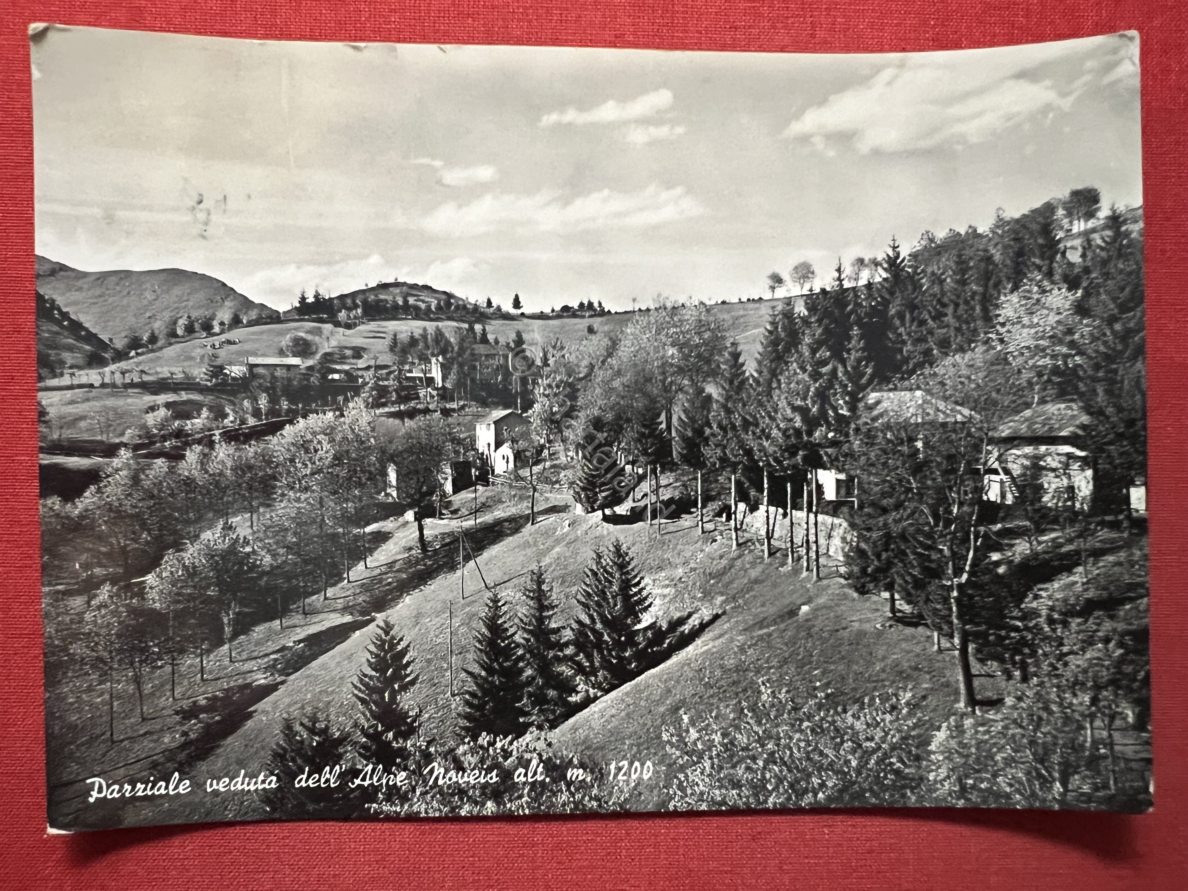 Cartolina - Parziale veduta dell'Alpe Noveis ( Biella ) - …