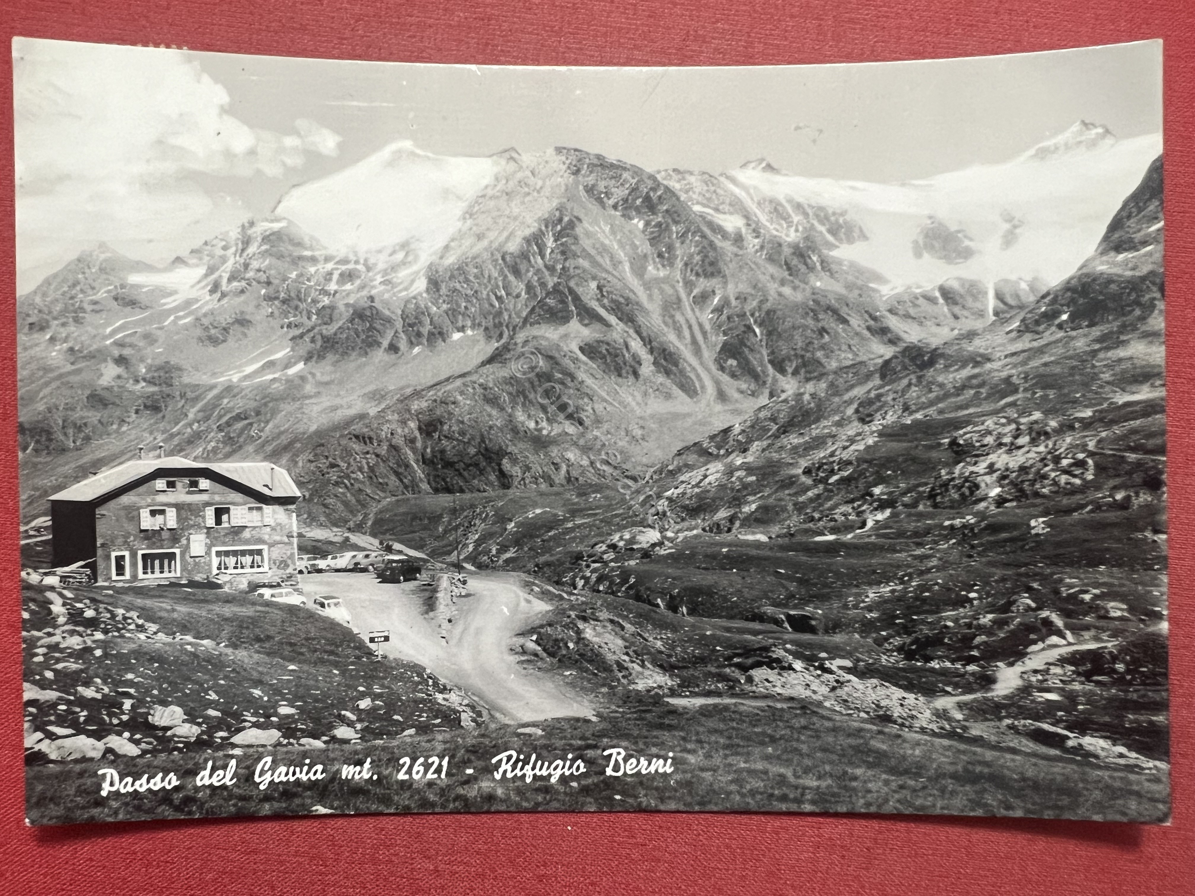 Cartolina - Passo del Gavia ( Brescia ) - Rifugio …