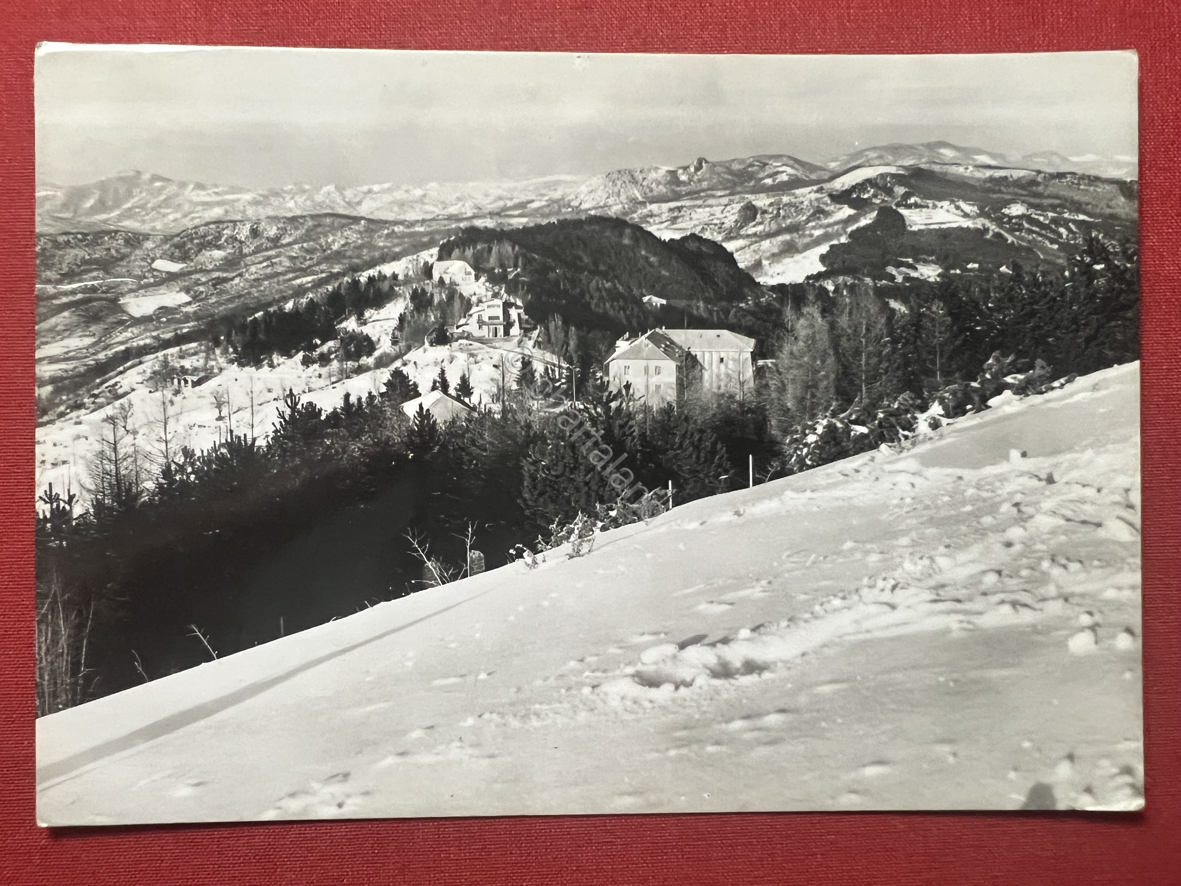 Cartolina - Passo del Penice - L'Albergo Buscaglia - 1963