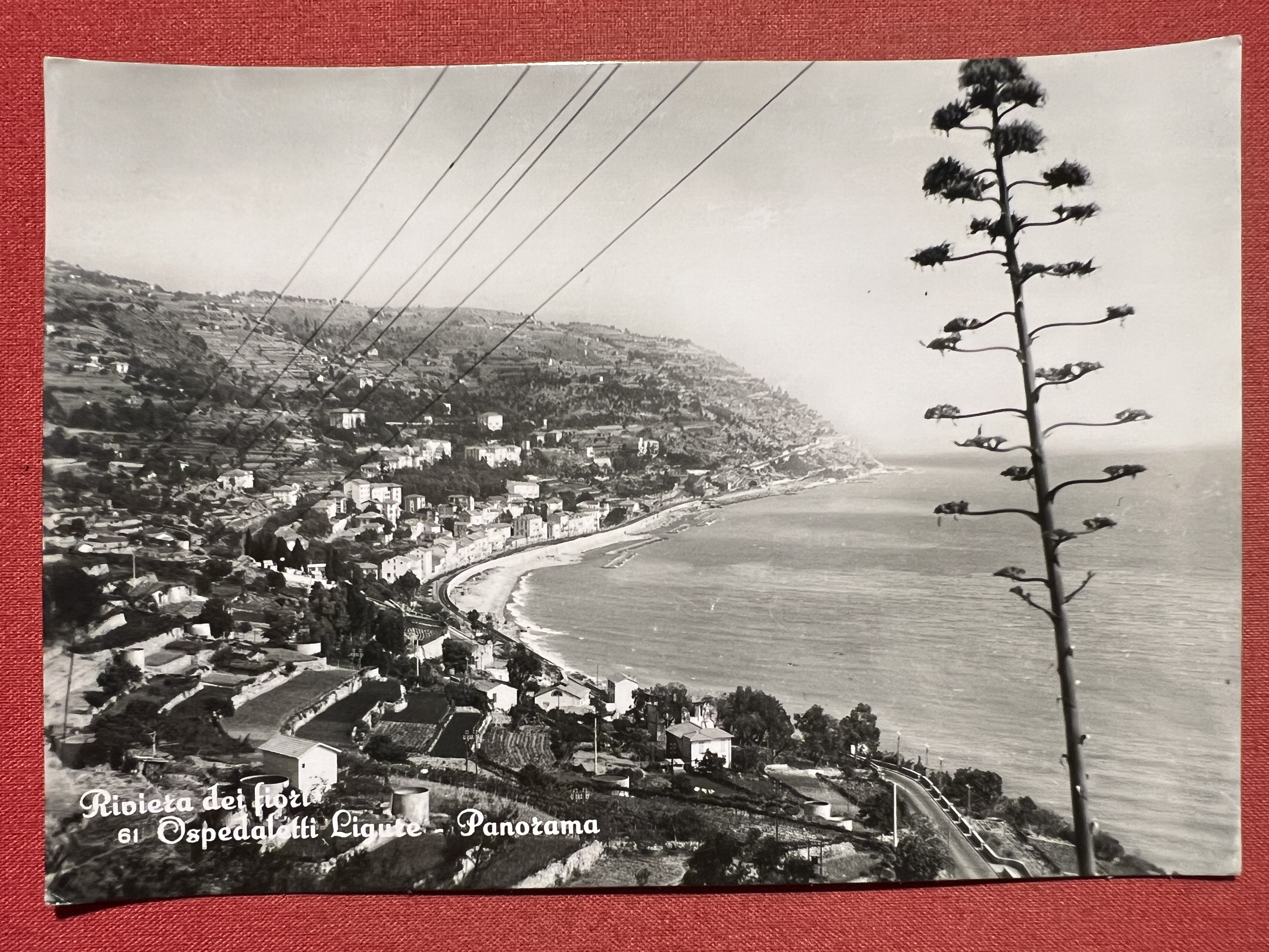 Cartolina - Riviera dei Fiori - Ospedaletti Ligure - Panorama …