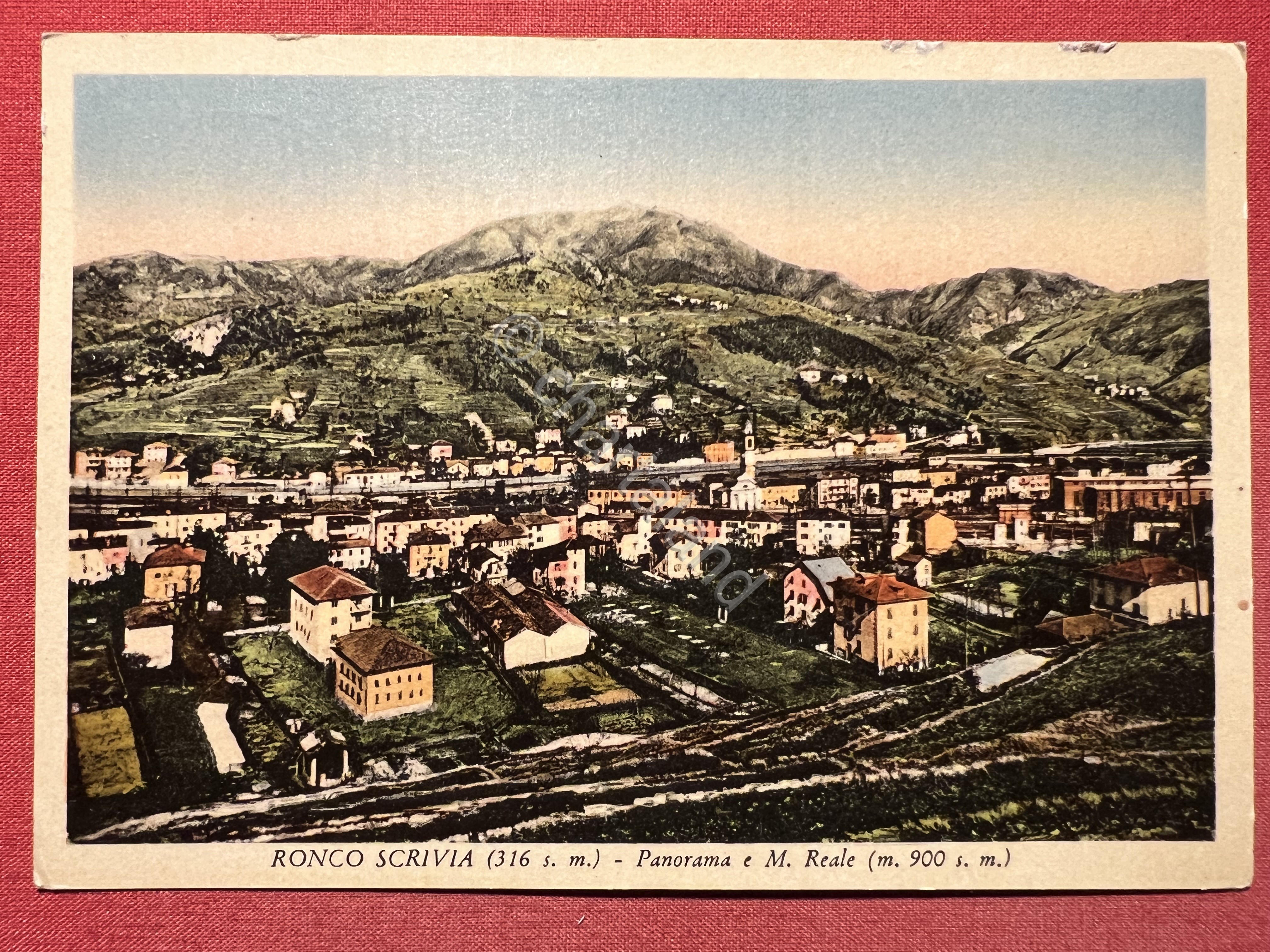 Cartolina - Ronco Scrivia ( Genova ) - Panorama e …