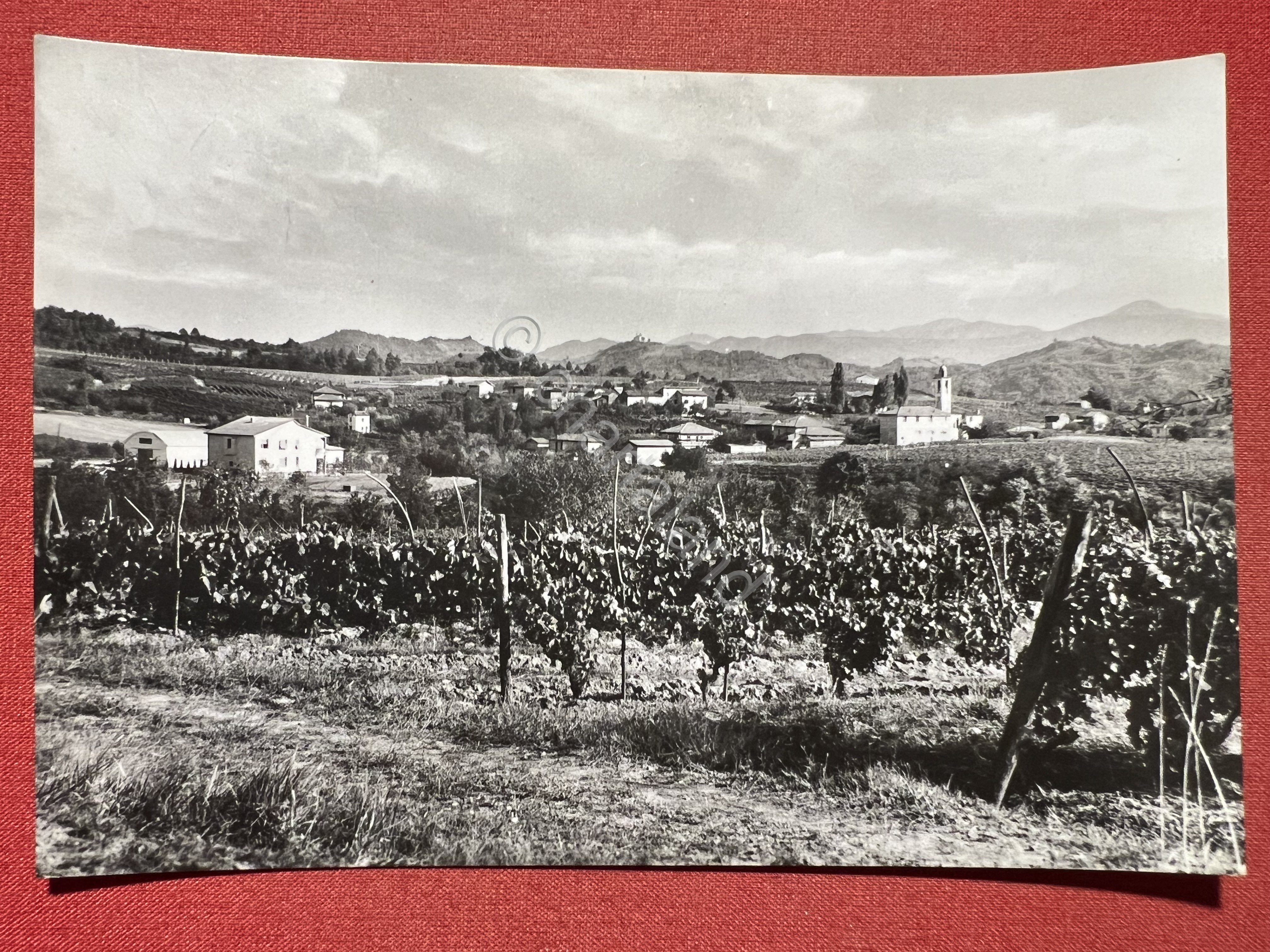 Cartolina - Rovereto di Gavi Ligure ( Alessandria ) - …