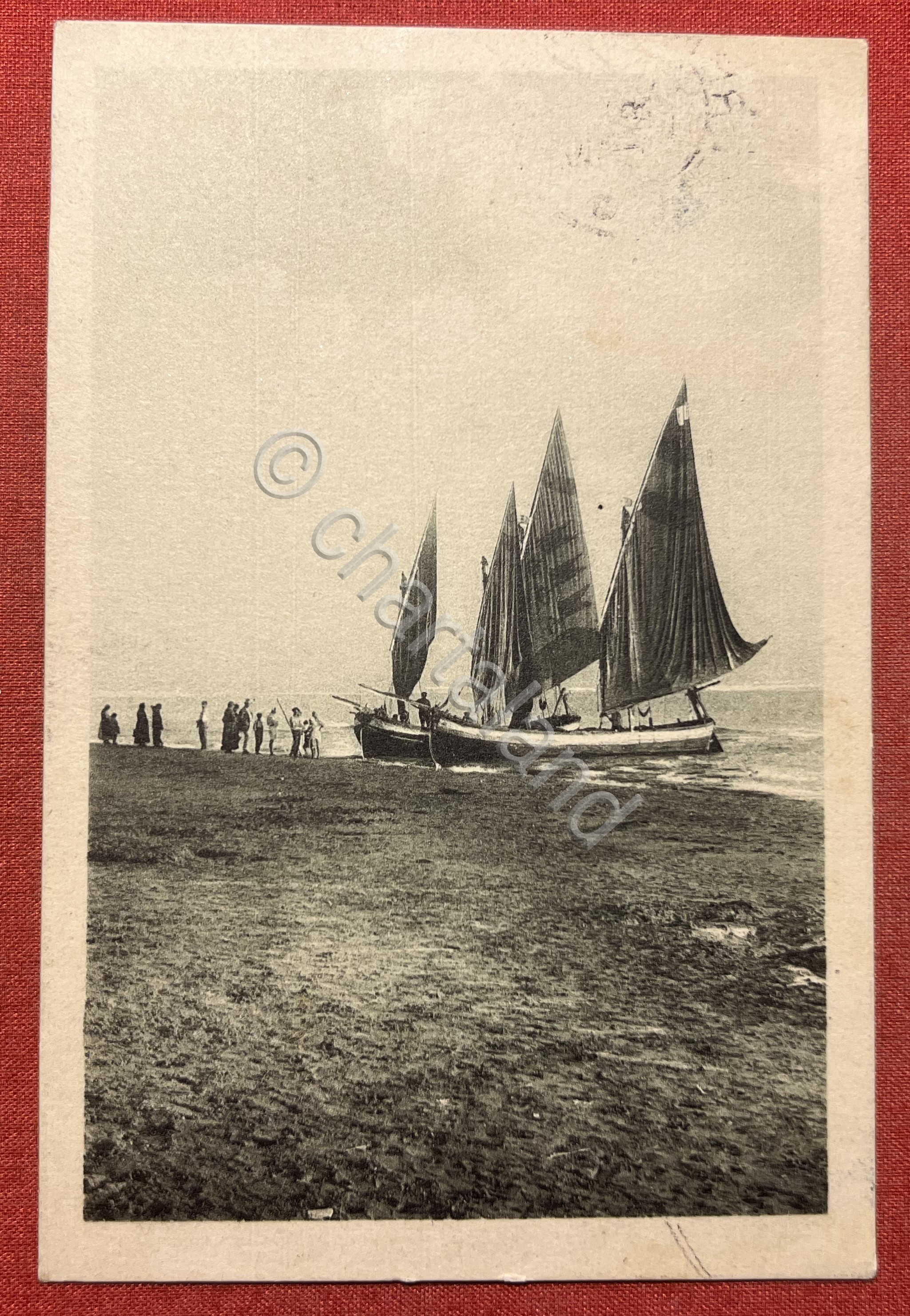 Cartolina - Saluti da Viserba ( Rimini ) - 1926