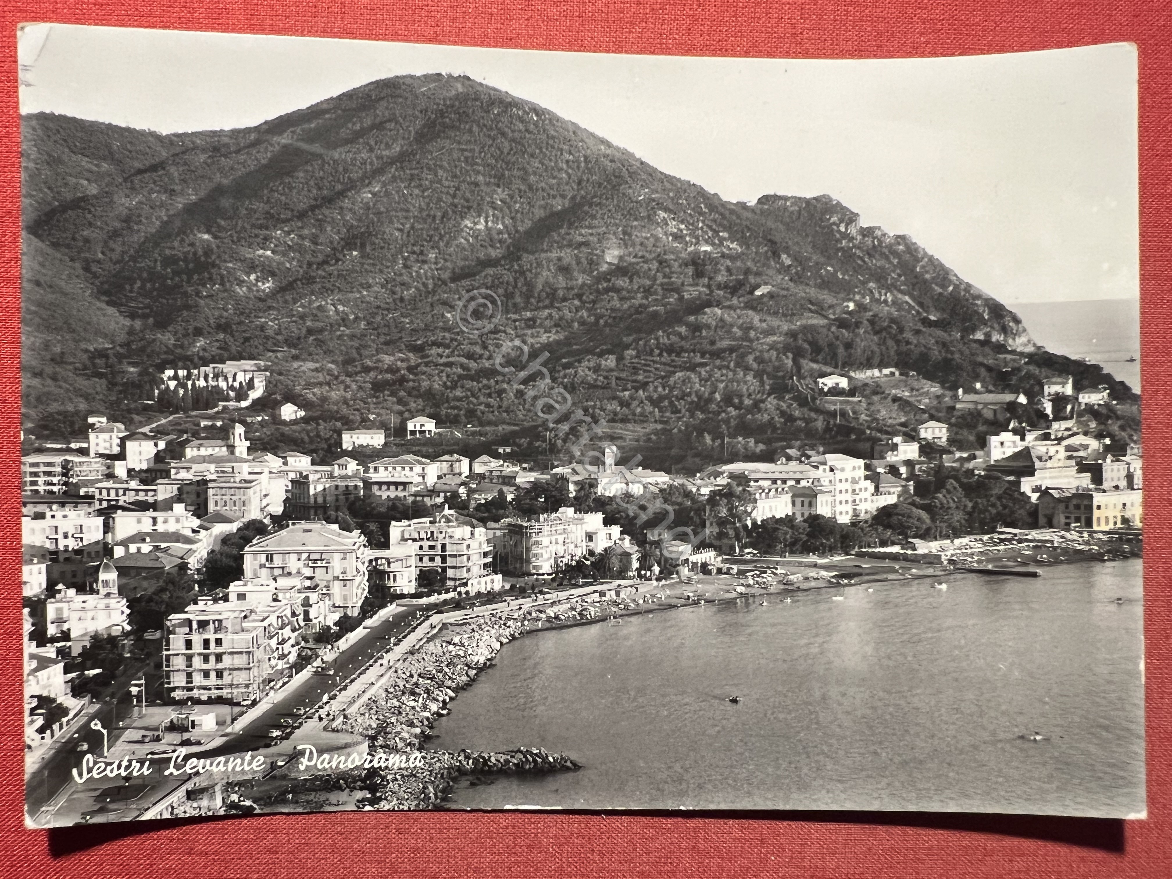 Cartolina - Sestri Levante ( Genova ) - Panorama - …