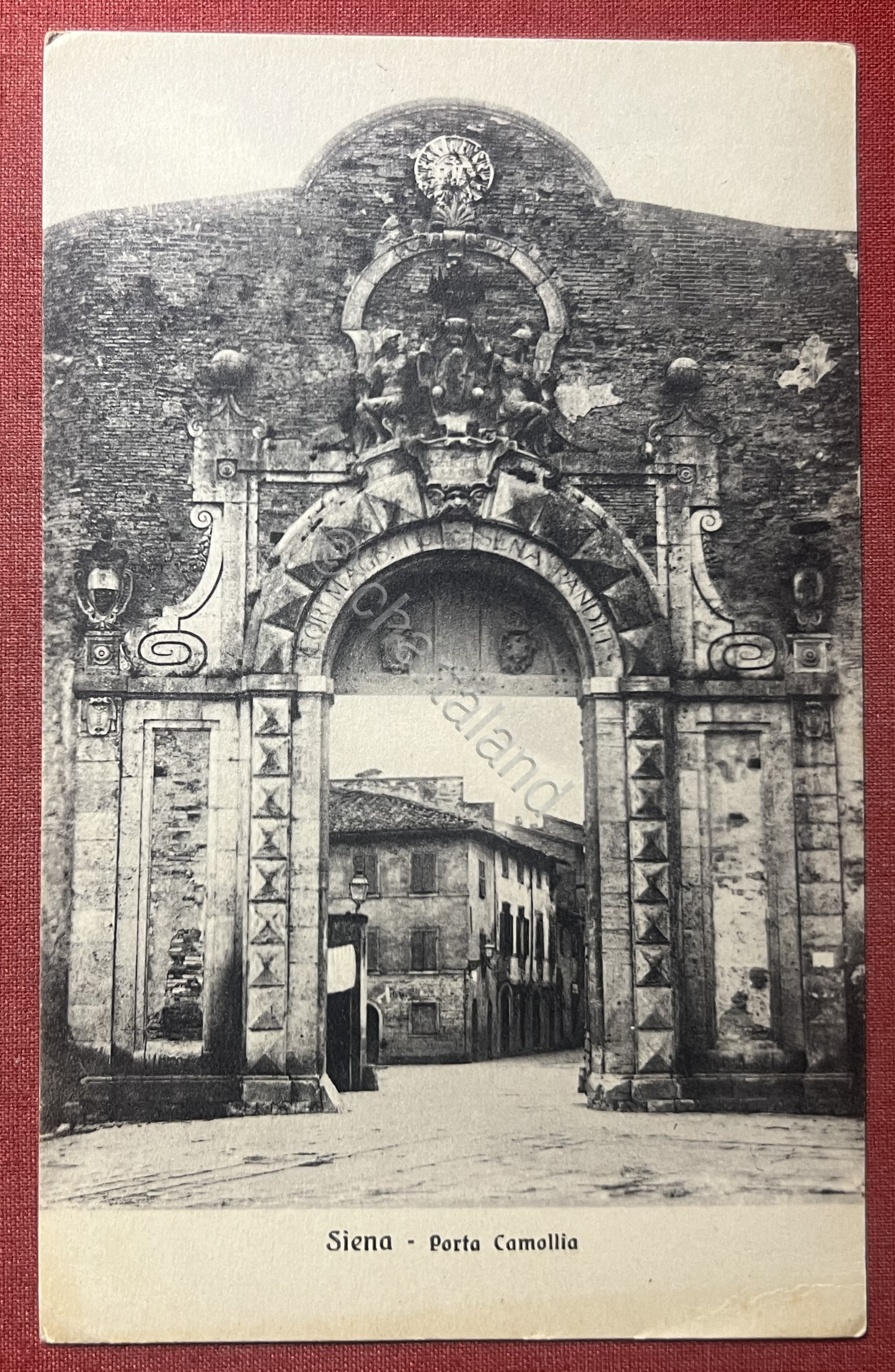 Cartolina - Siena - Porta Camollia - 1930