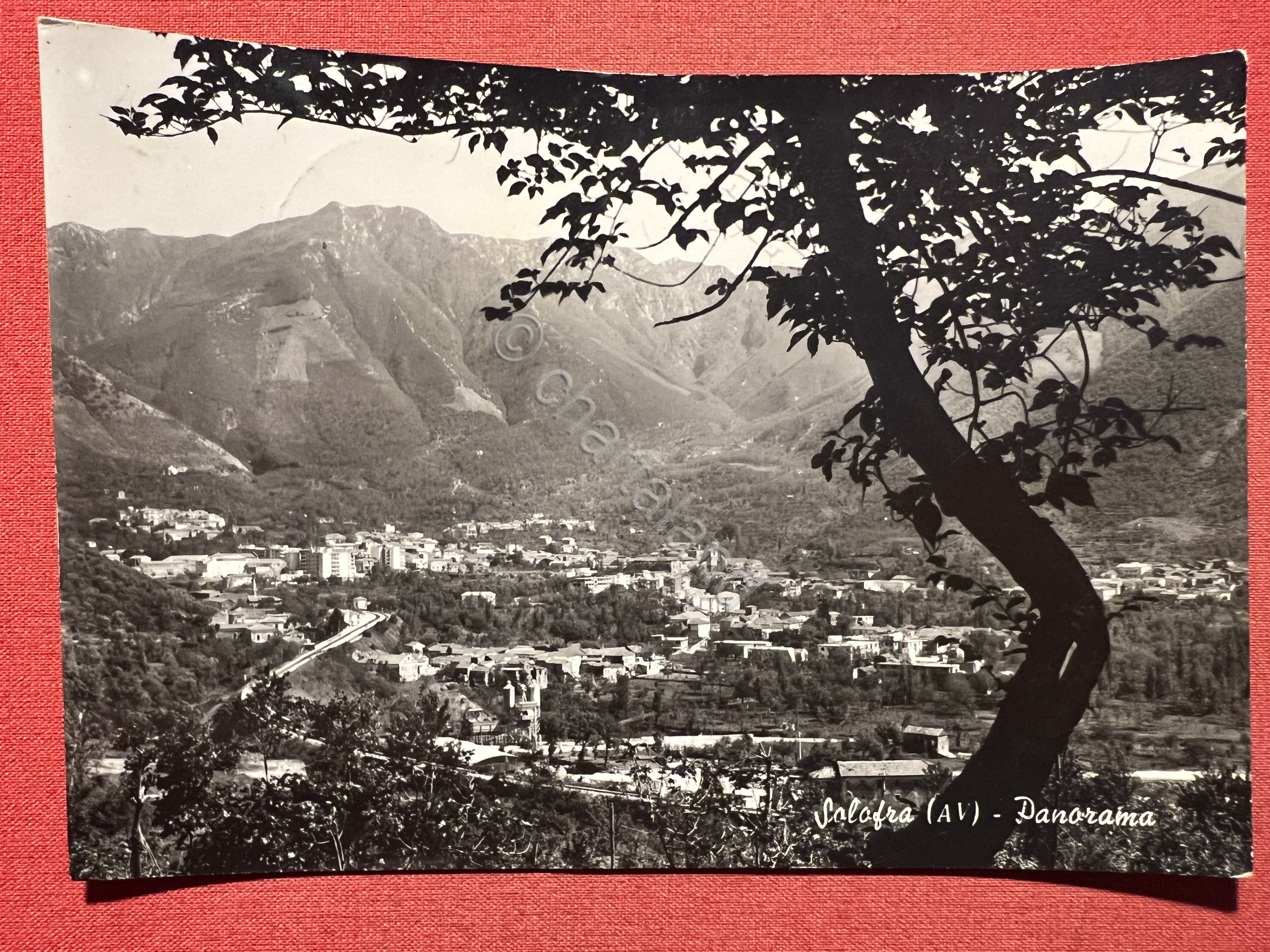 Cartolina - Solofra ( Avellino ) - Panorama - 1967