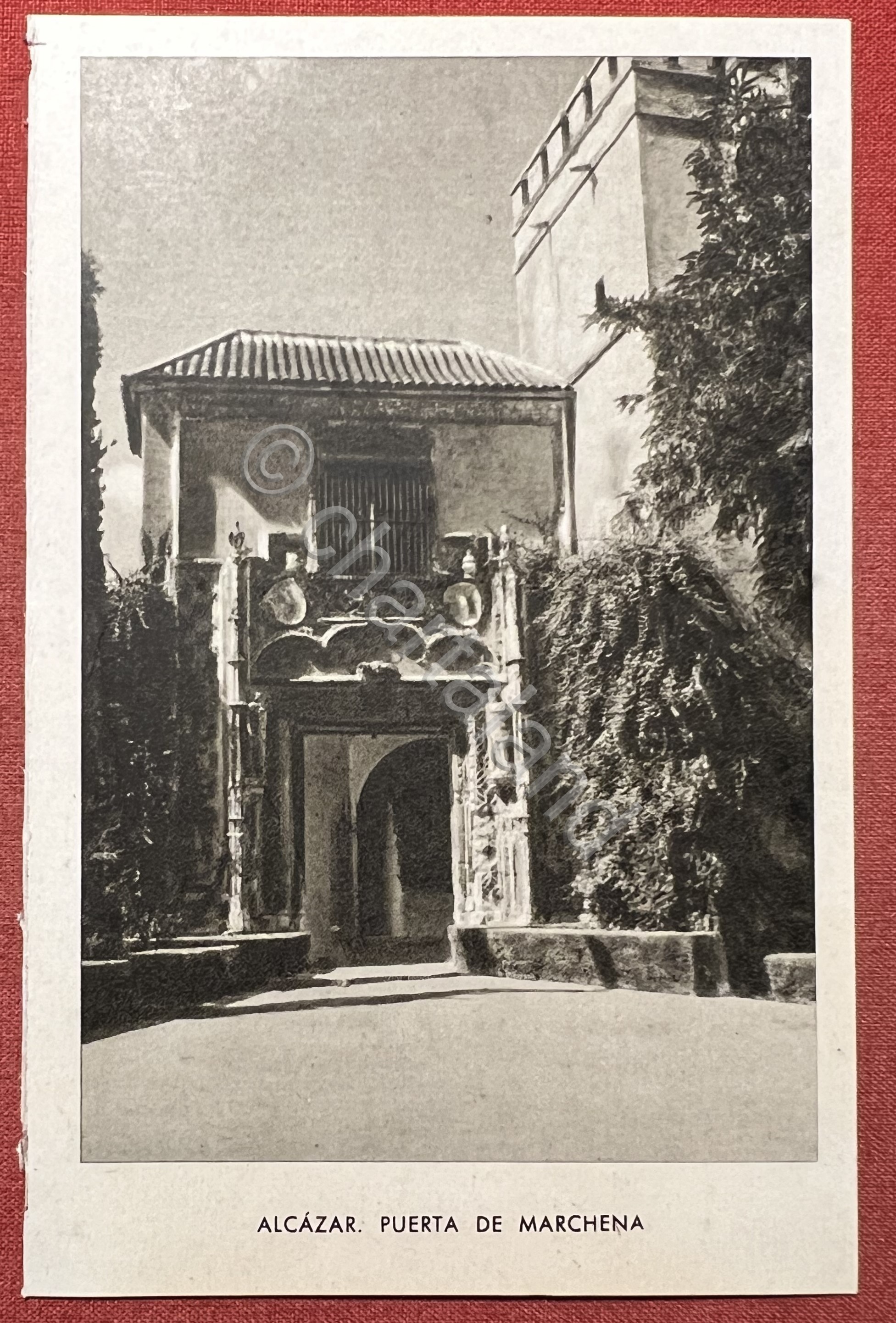 Cartolina - Spagna - Alcàzar - Puerta de Marchena - …