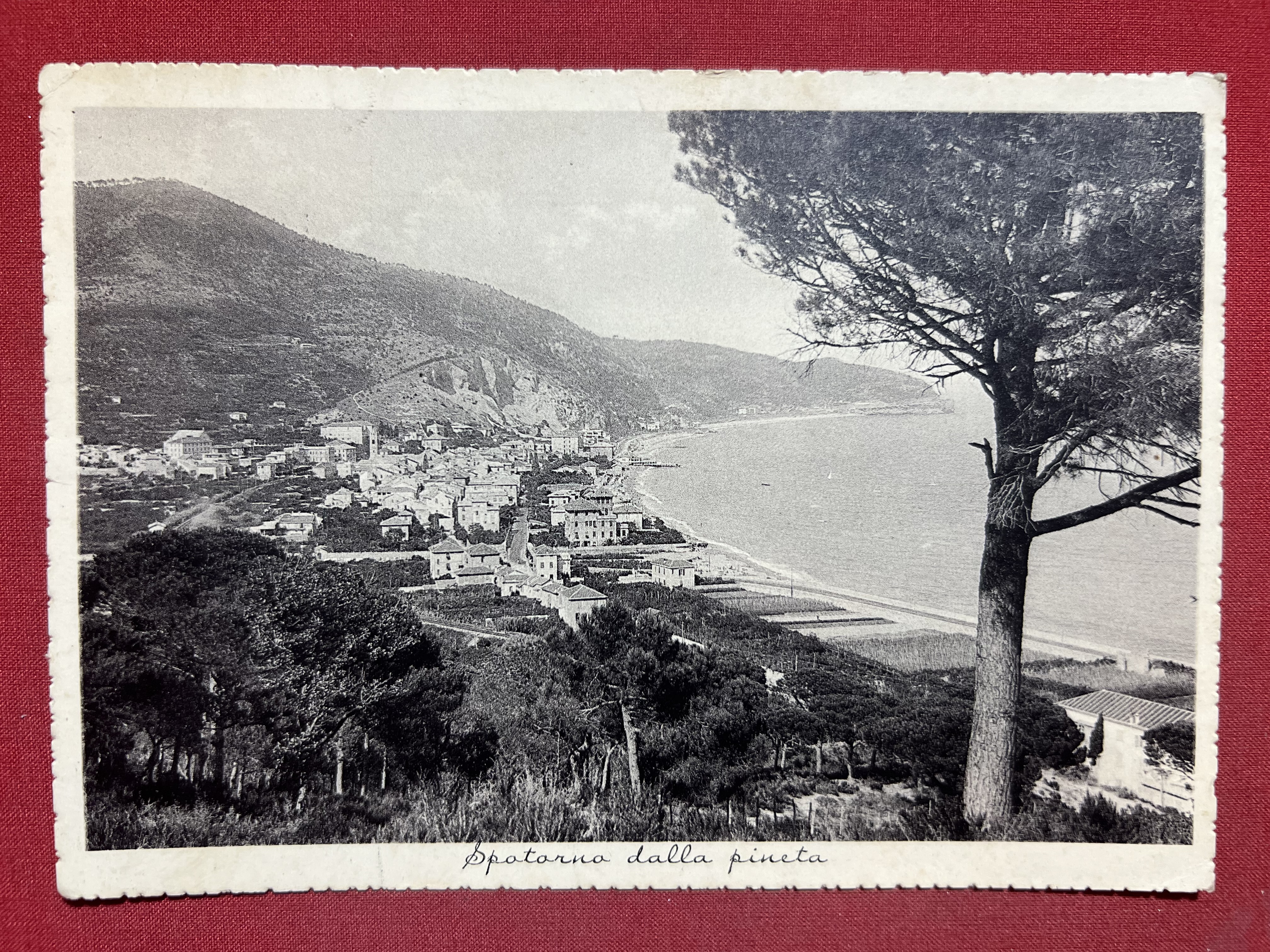 Cartolina - Spotorno dalla Pineta - 1941