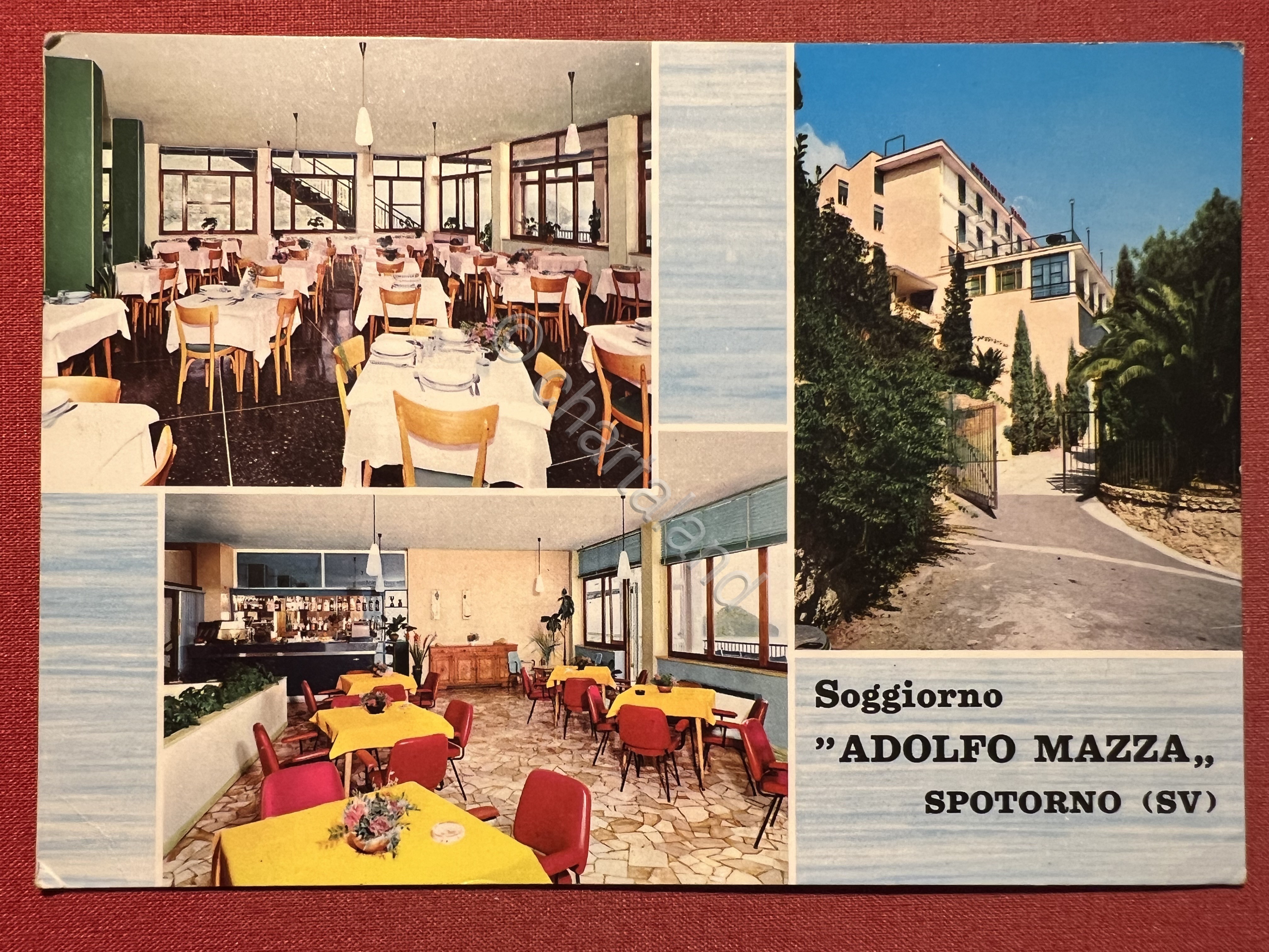 Cartolina - Spotorno ( Savona ) - Soggiorno Adolfo Mazza …
