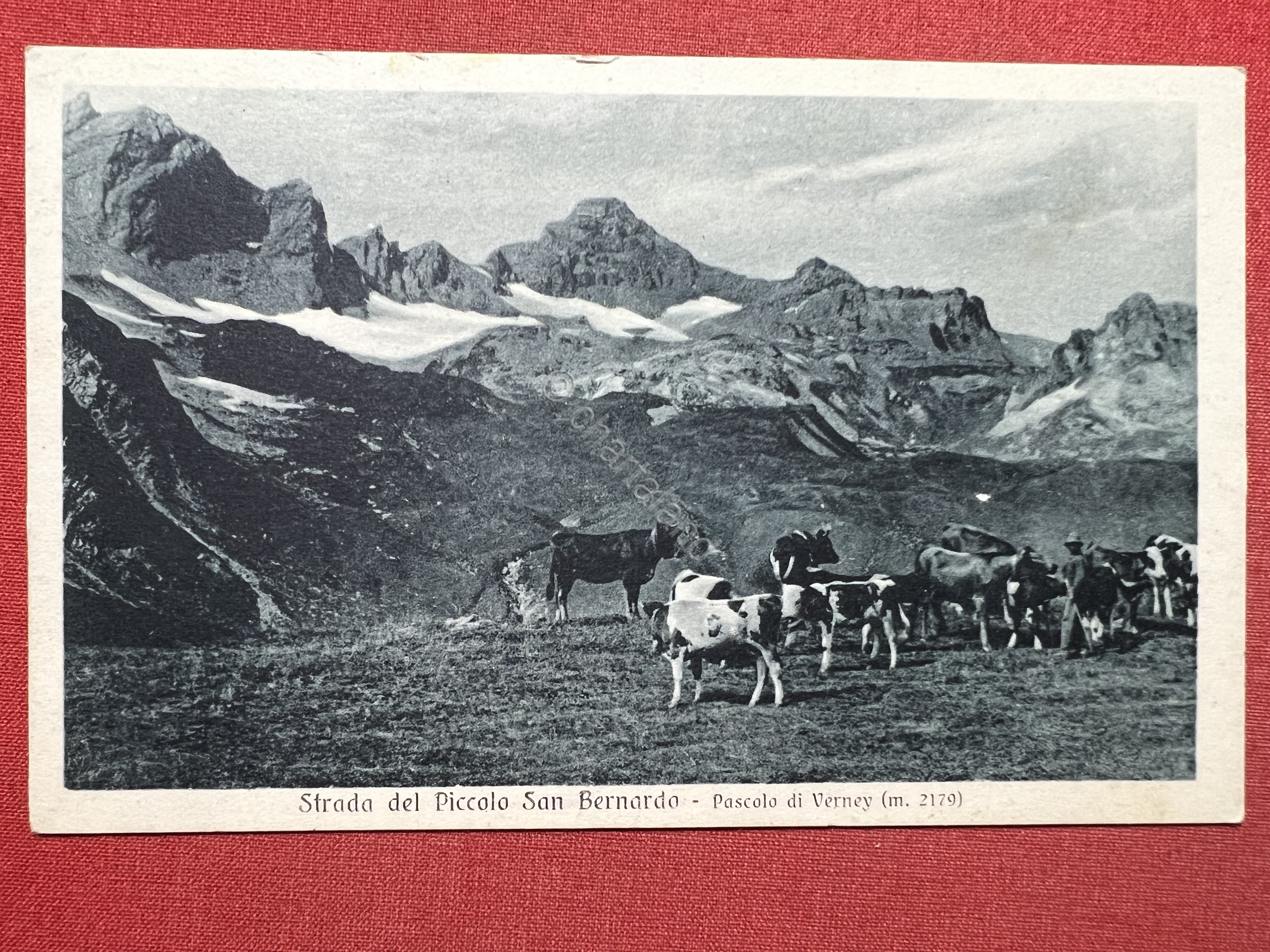 Cartolina - Strada del Piccolo San Bernardo - Pascolo di …