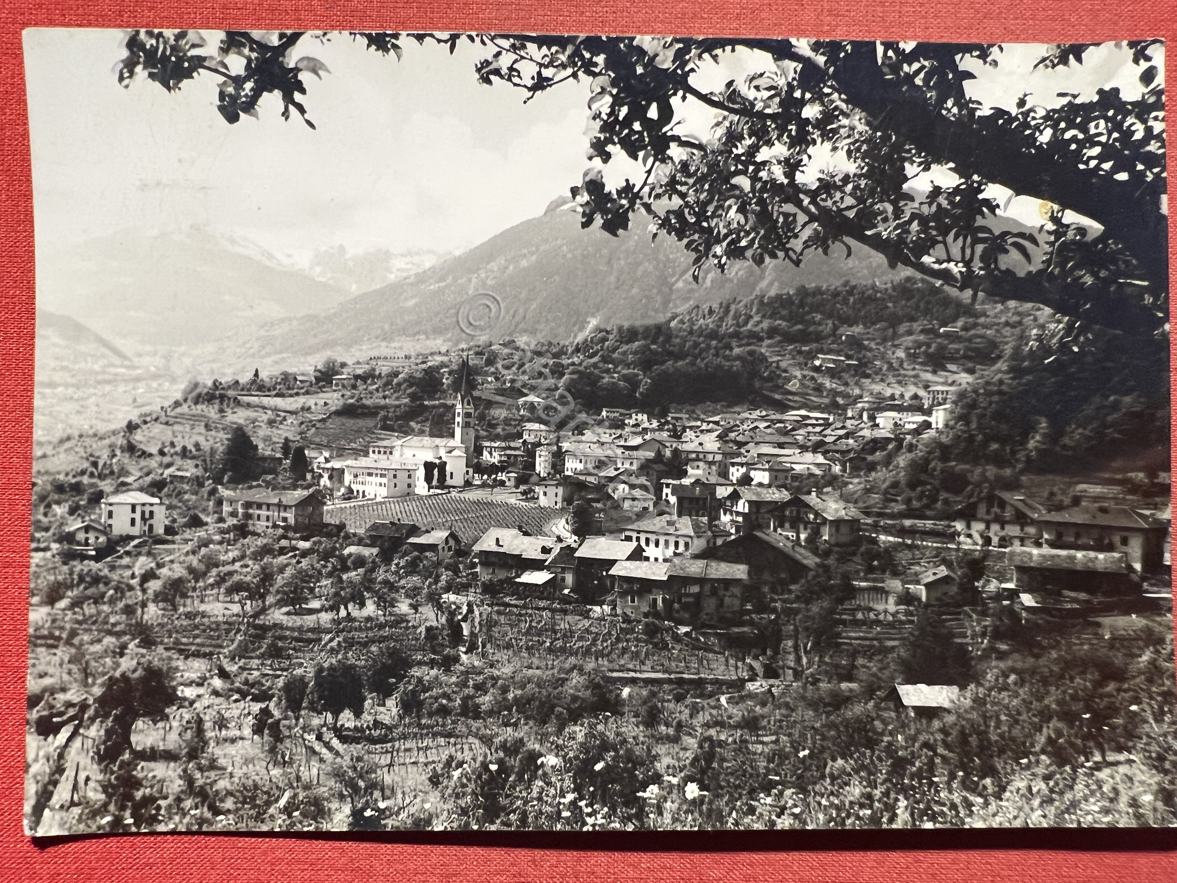Cartolina - Strigno ( Trento ) - Valsugana - Panorama …