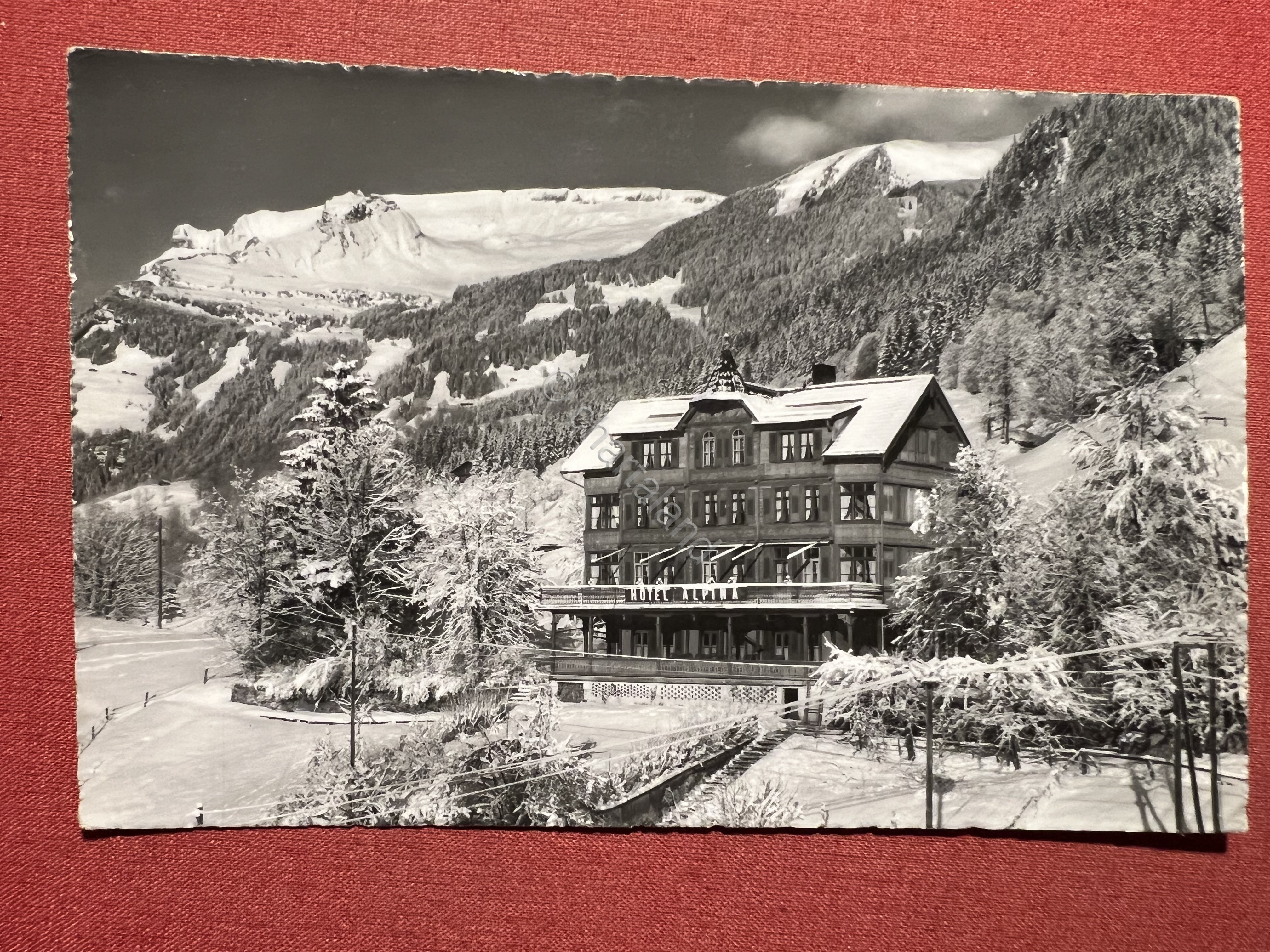 Cartolina - Svizzera - Hotel Pension Alpina - Grindelwald - …