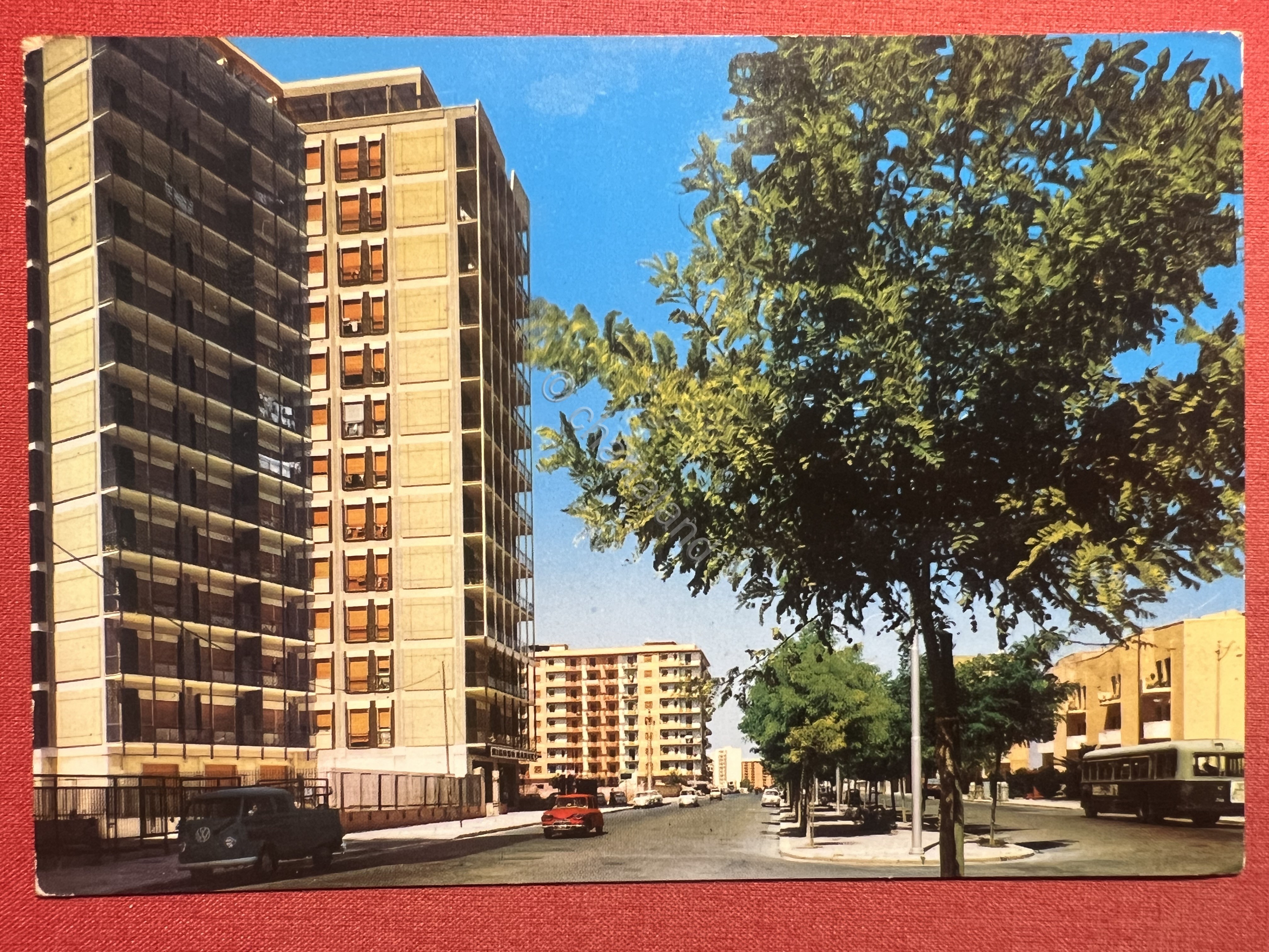 Cartolina - Taranto - Viale Magna Grecia - 1969