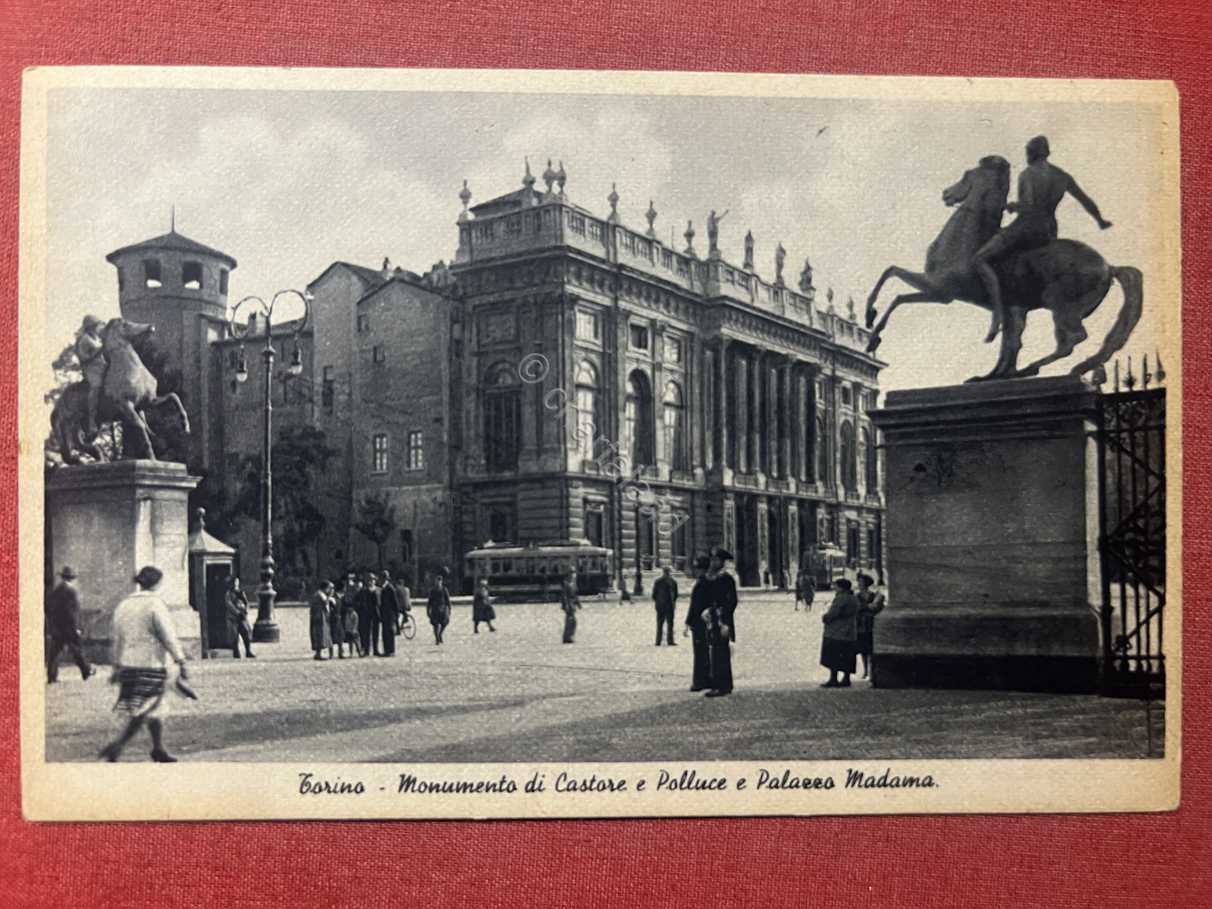 Cartolina - Torino - Monumento si Castore e Polluce e …
