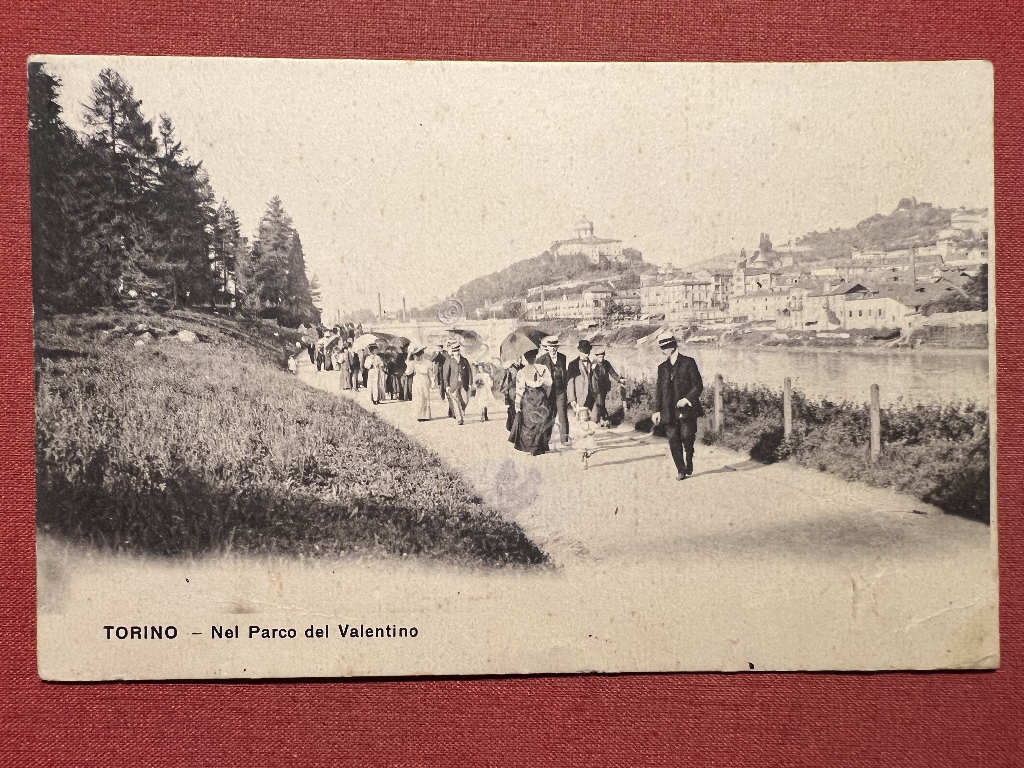Cartolina - Torino - Nel Parco del Valentino - 1911