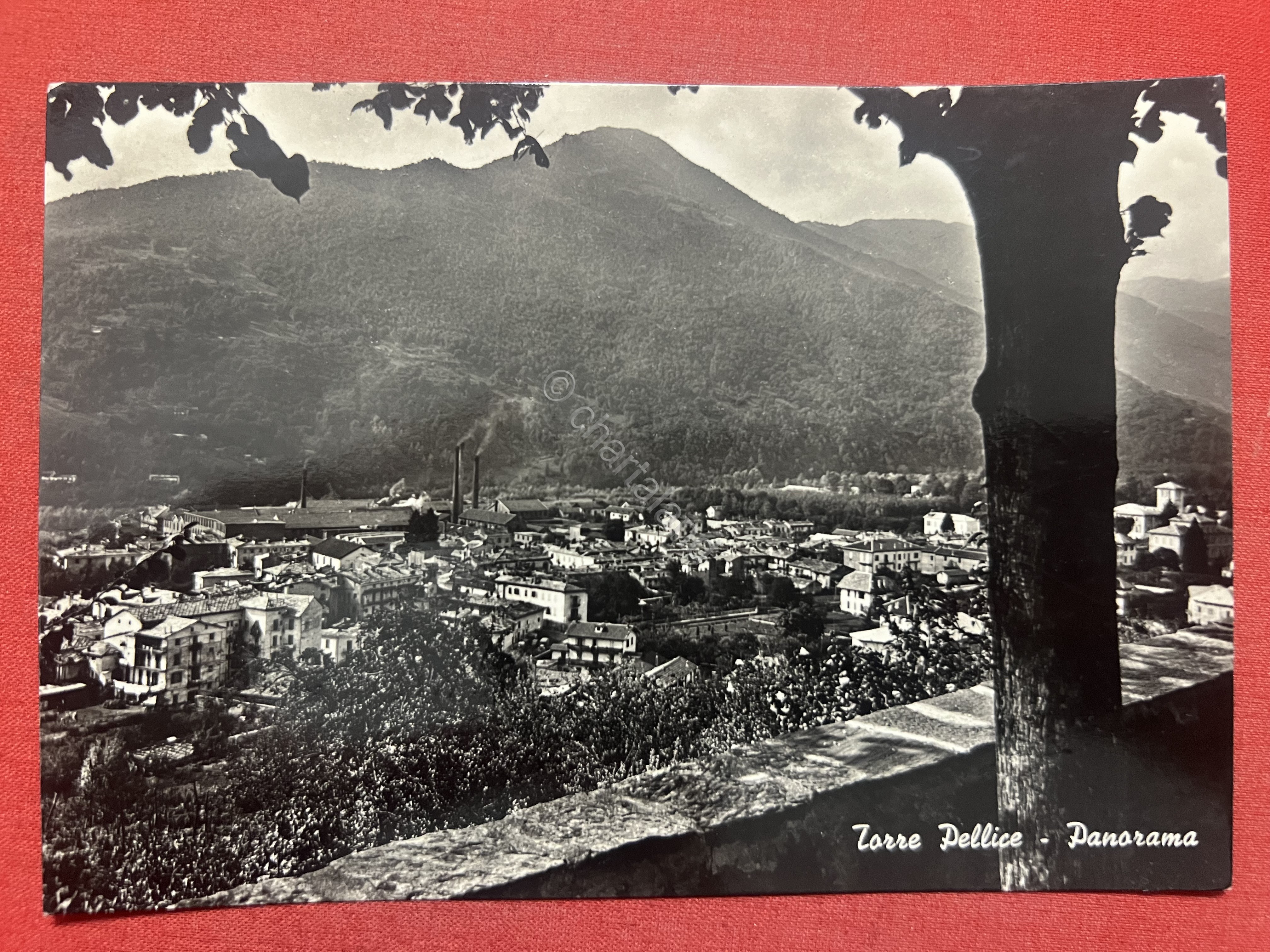 Cartolina - Torre Pellice ( Torino ) - Panorama - …