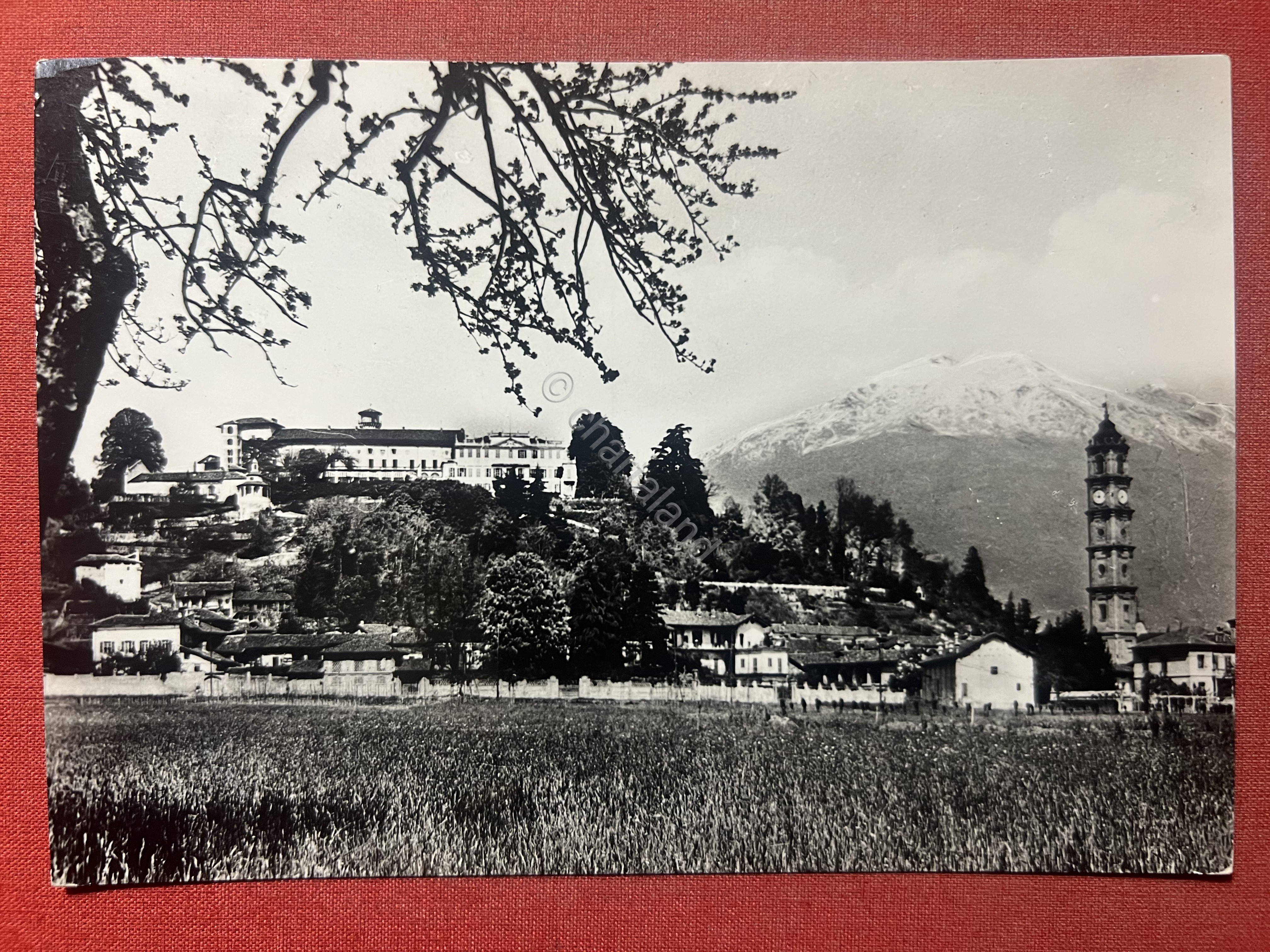 Cartolina - Valperga ( Torino ) - Panorama - 1960