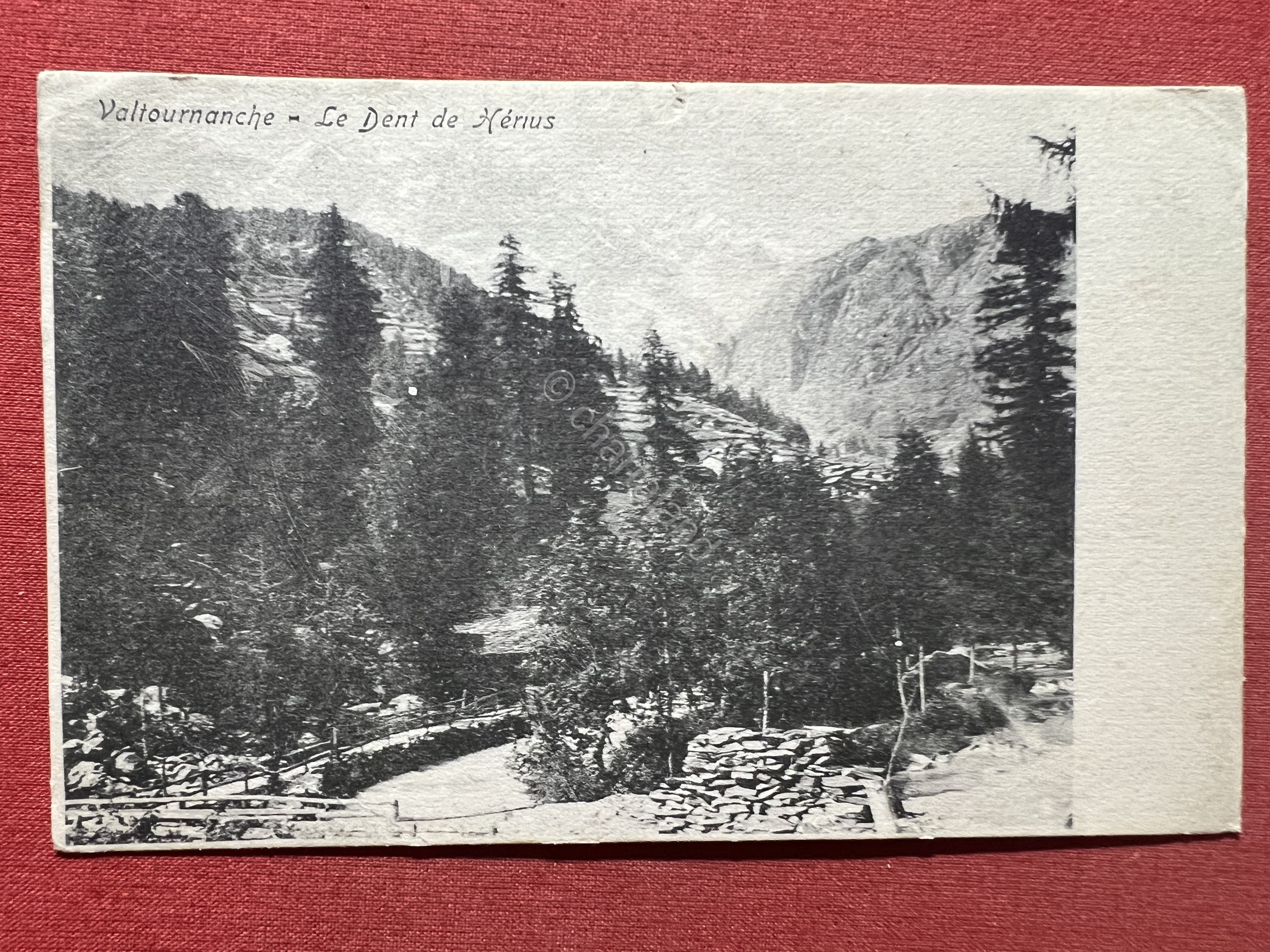 Cartolina - Valtournenche - Le Dent de Hénus - 1910 …