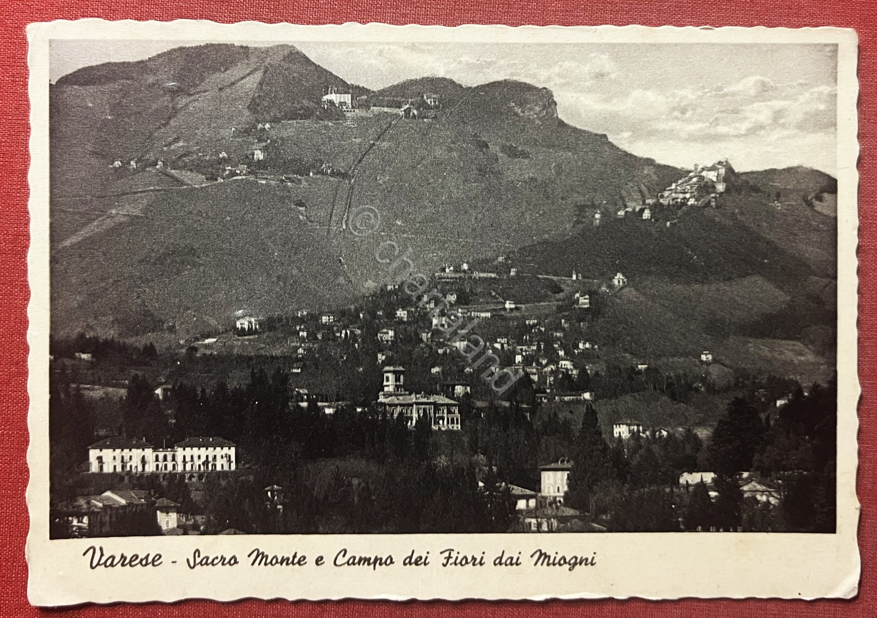 Cartolina - Varese - Sacro Monte e Campo dei Fiori …