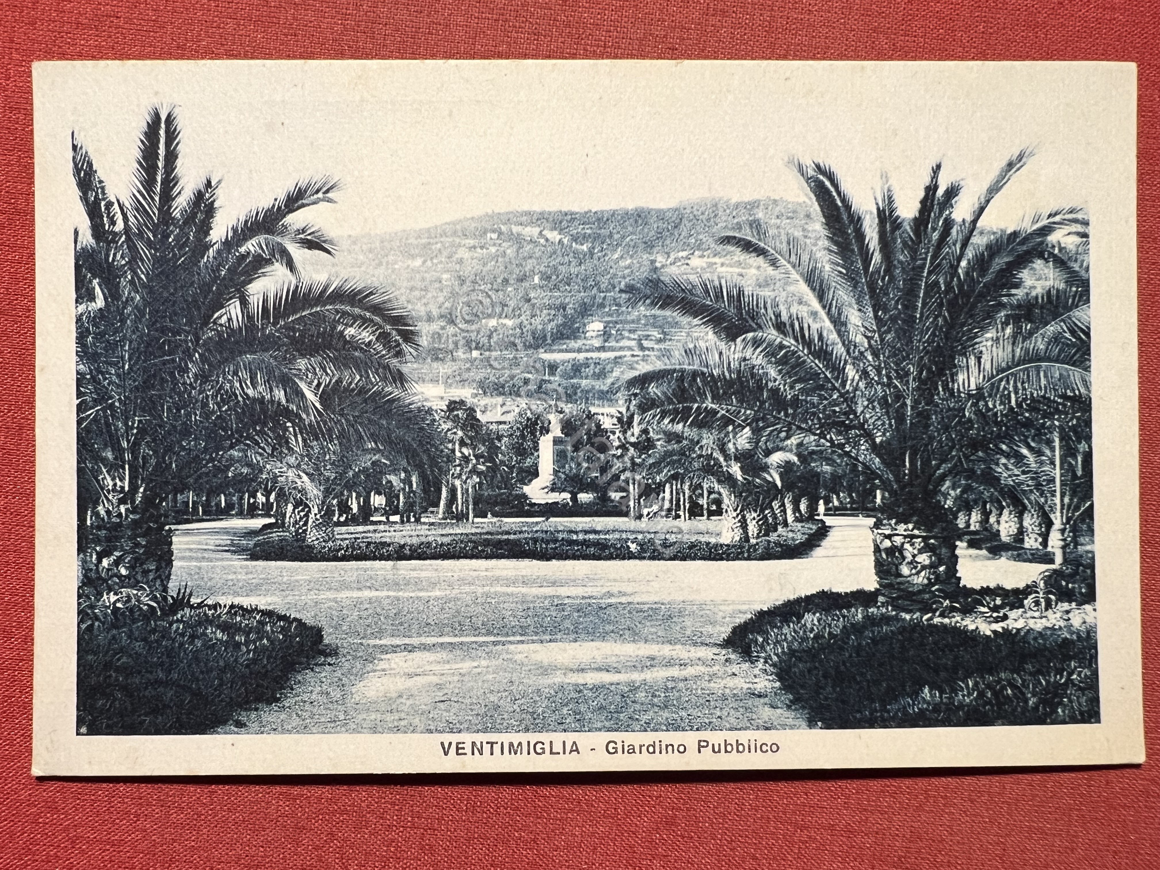 Cartolina - Ventimiglia - Giardino Pubblico - 1920 ca.