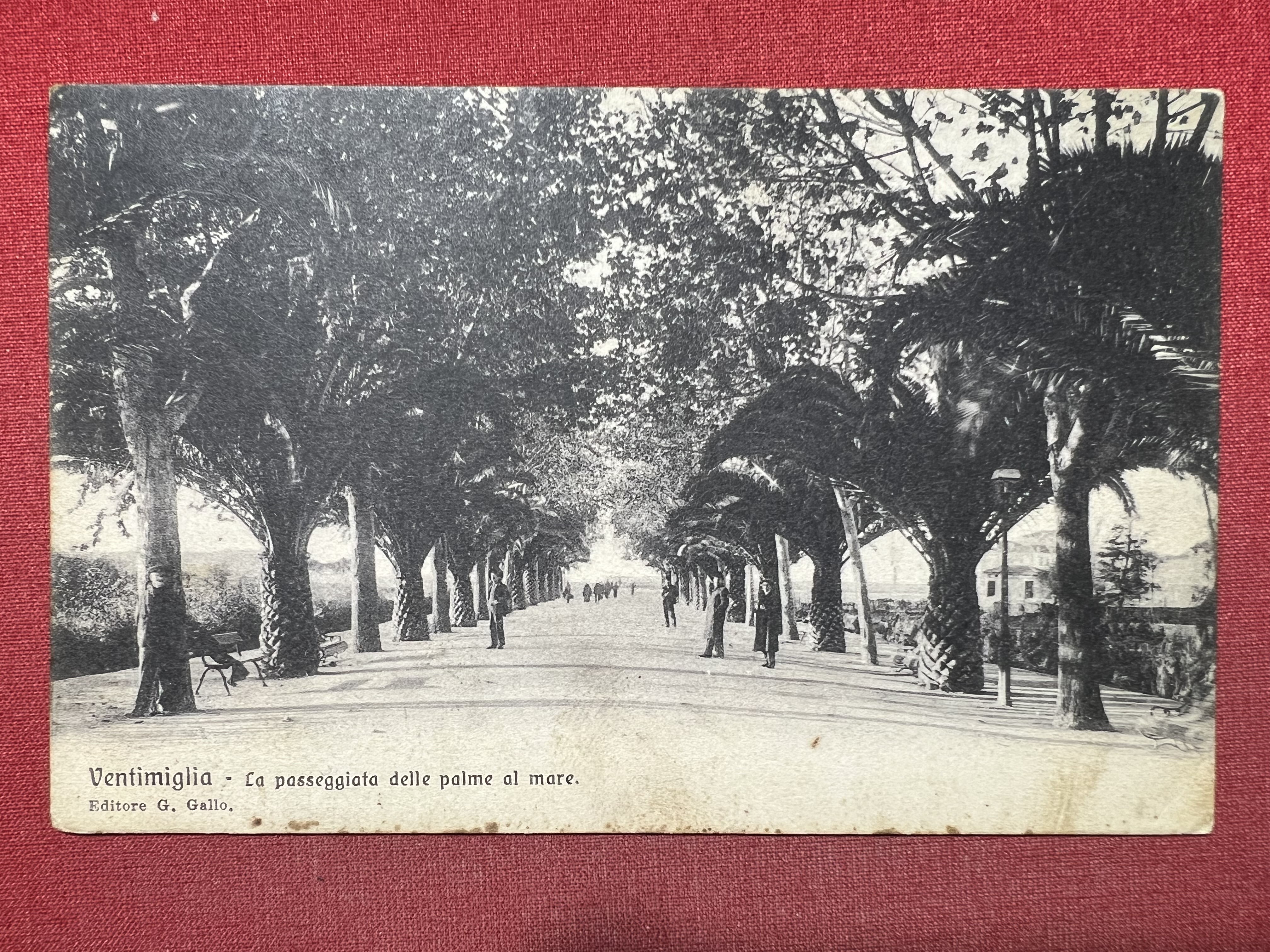Cartolina - Ventimiglia - La Passeggiata delle Palme al Mare …
